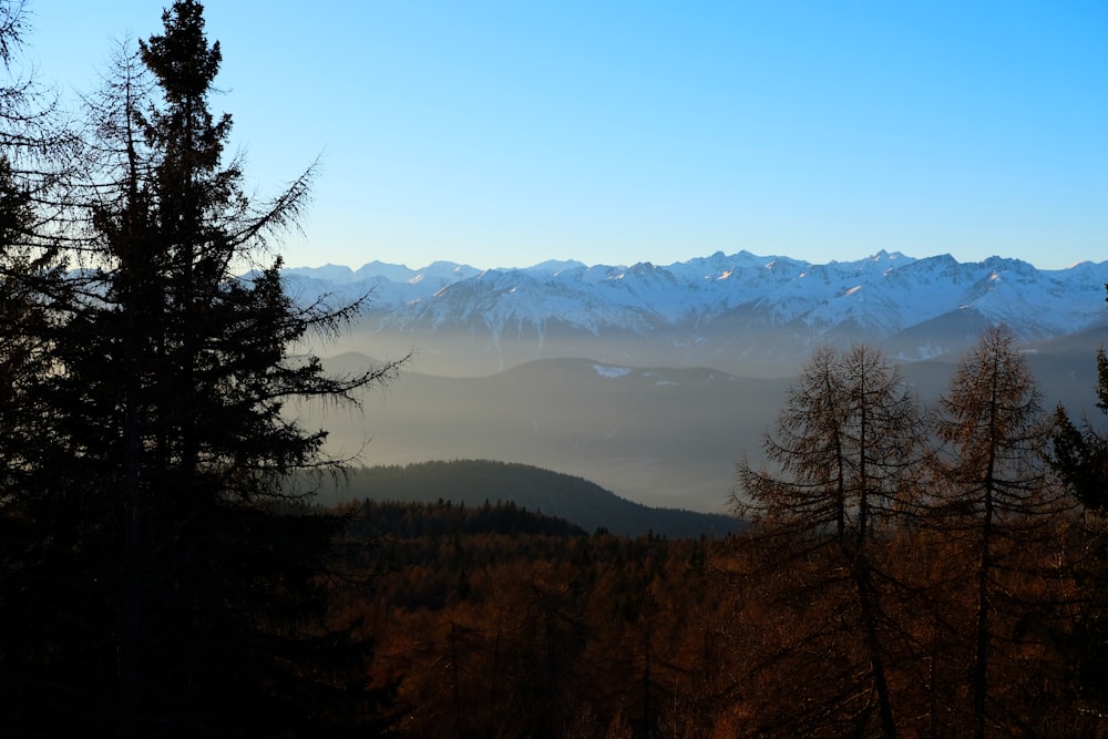 a view of a mountain range with trees in the foreground