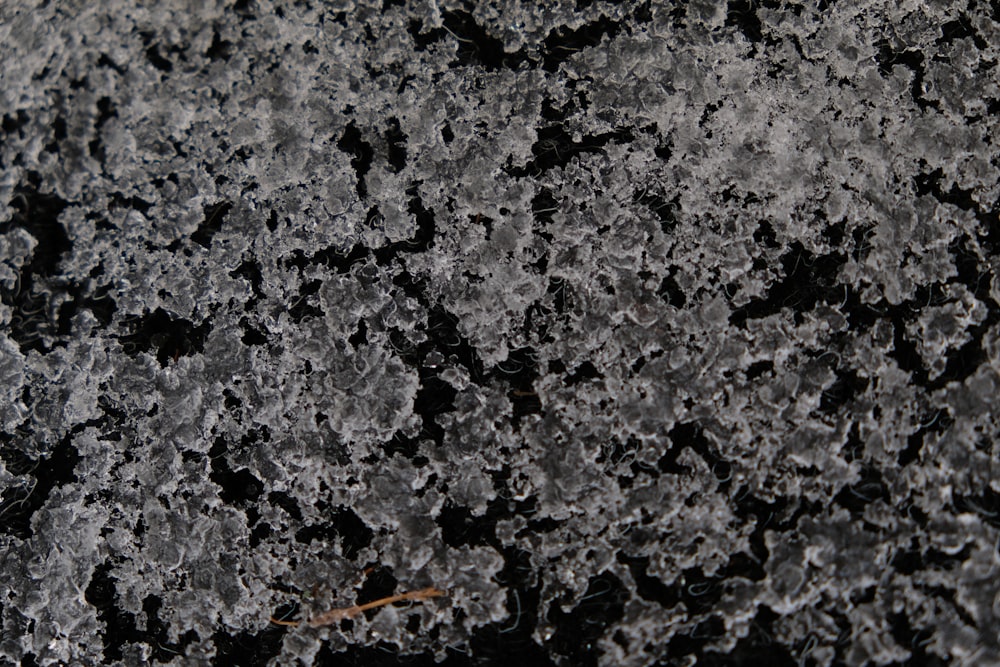 a black and white photo of ice on the ground