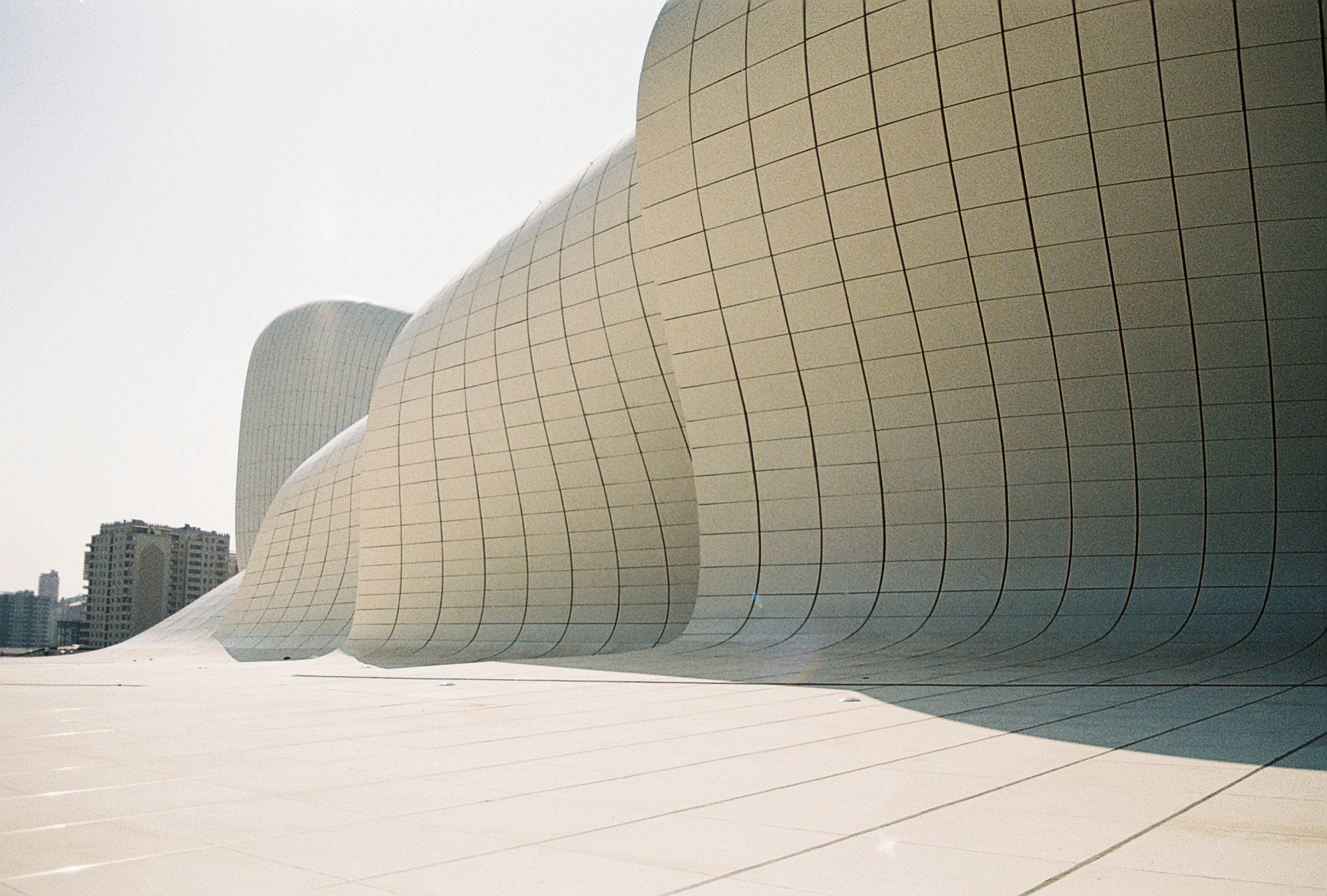 Photo by thesilvafocus