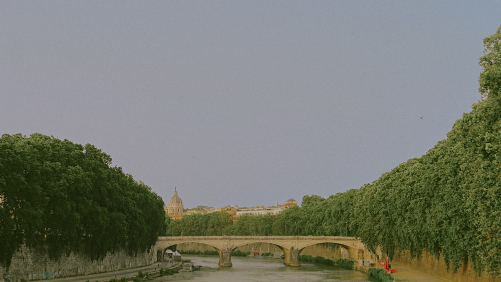 a river running under a bridge next to a lush green forest