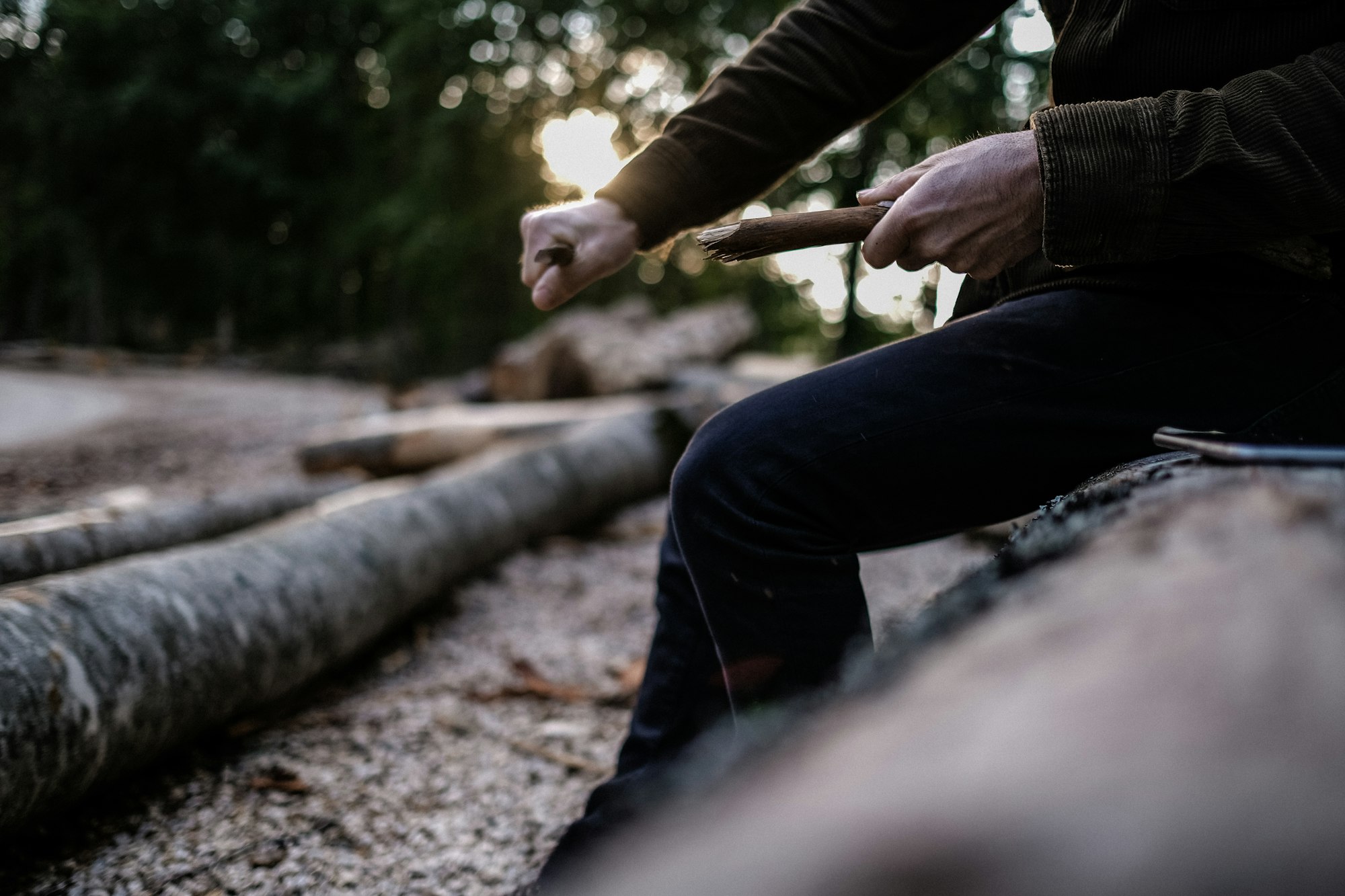 Naturerlebnis für Einsteiger: Grundlagen des Bushcraft