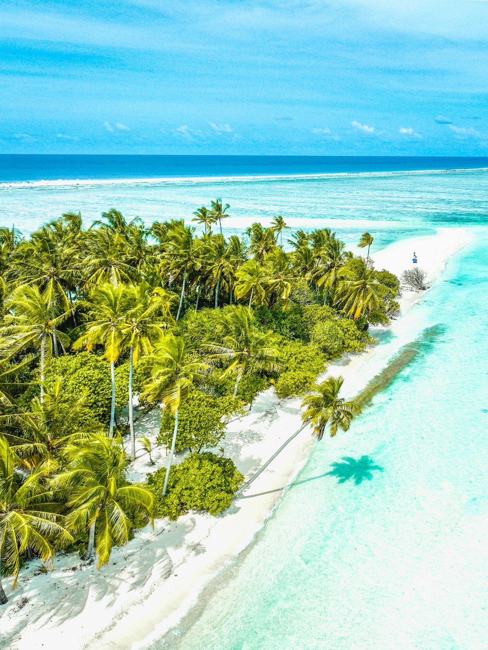 an aerial view of a tropical island with palm trees