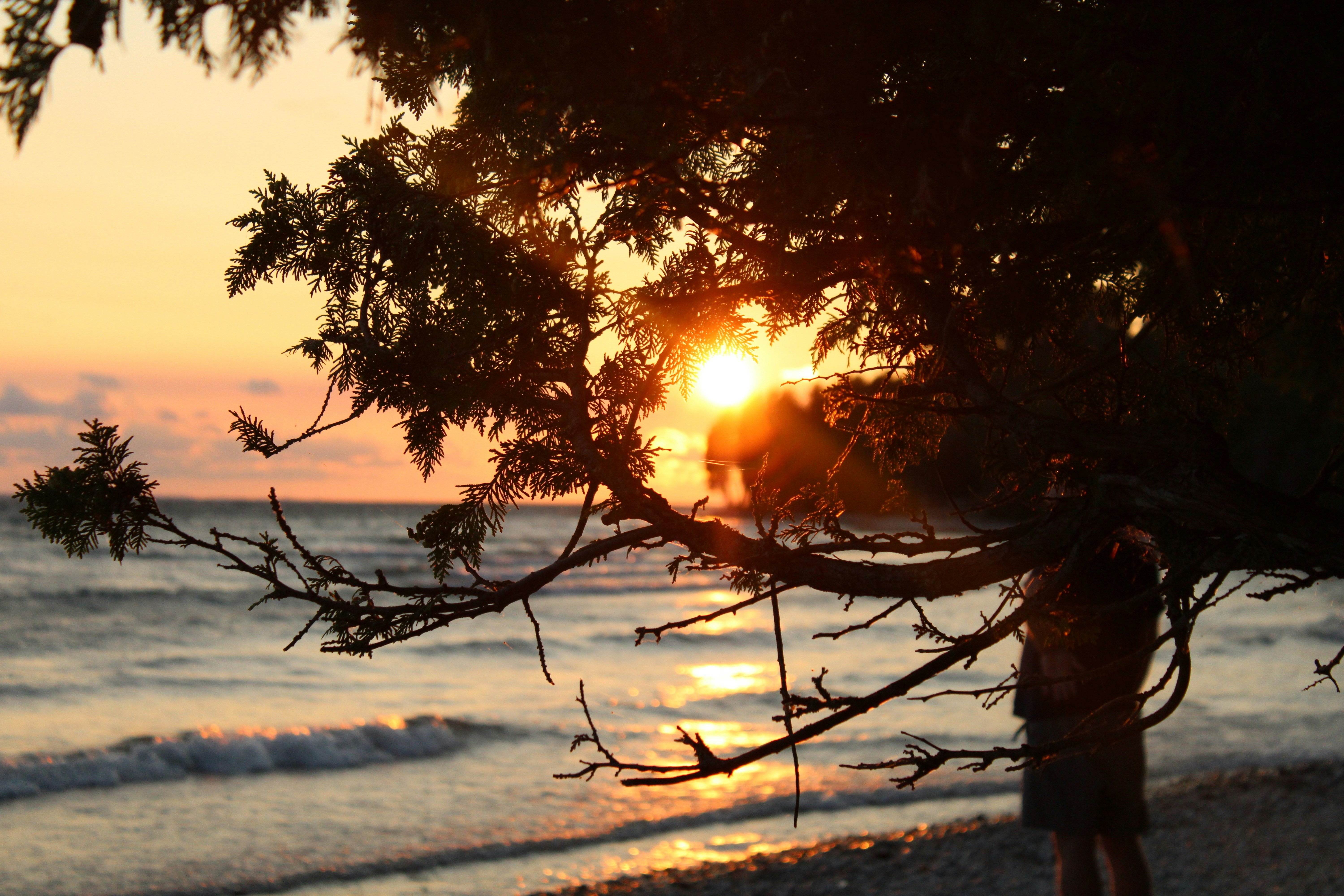 Photo by bcjefferson