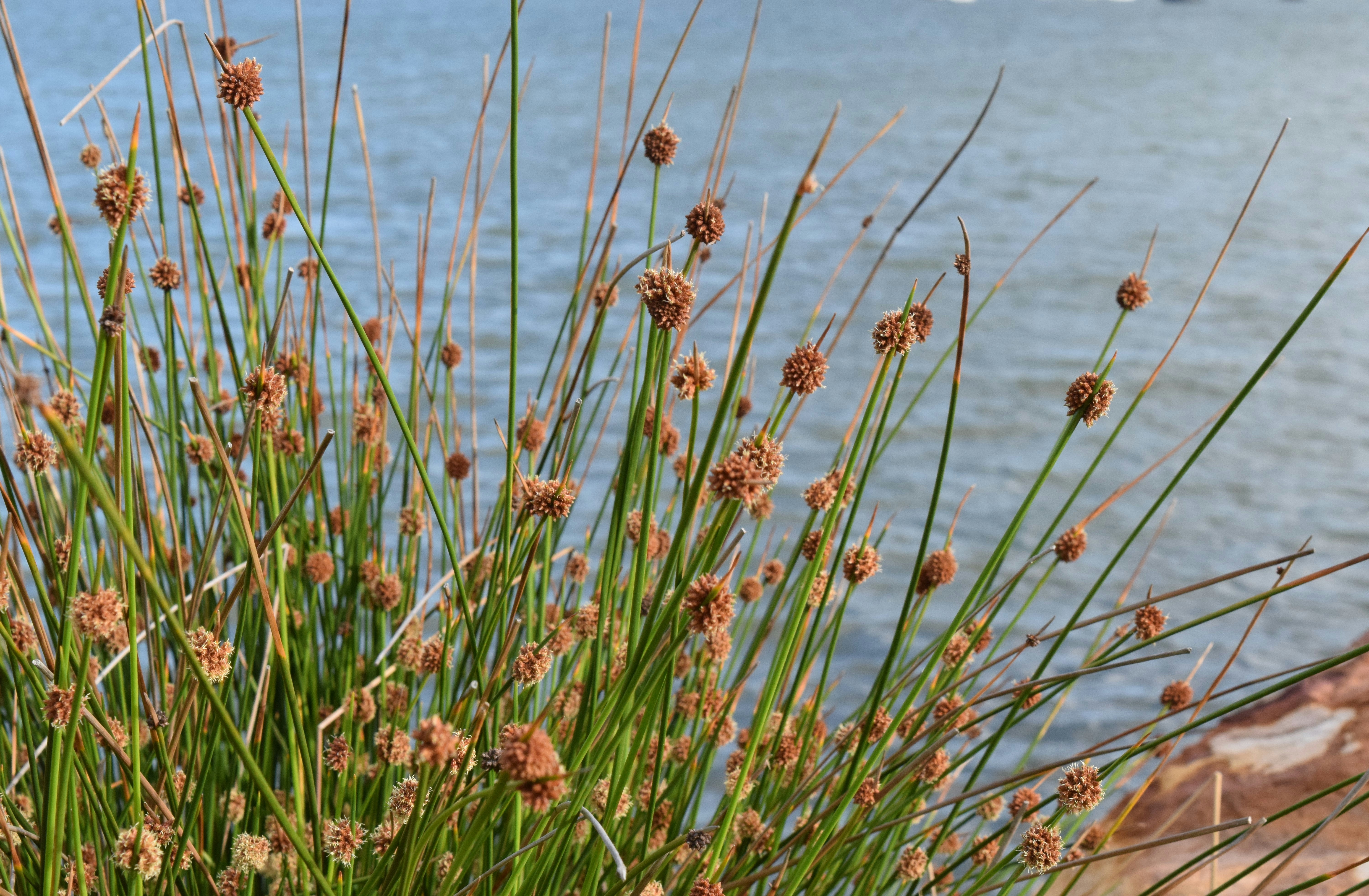 Photo by ch_photography