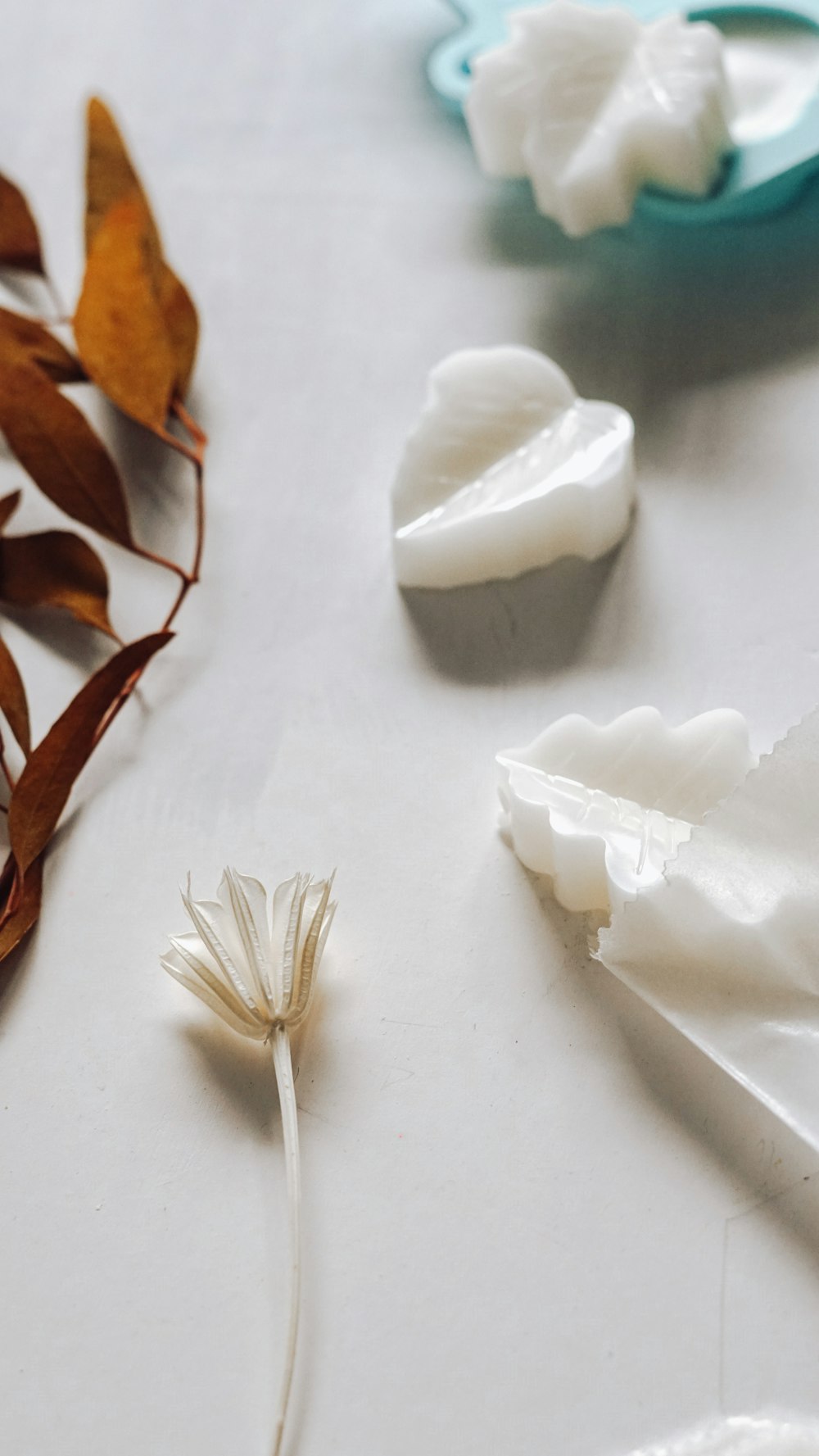 a white flower sitting on top of a white table