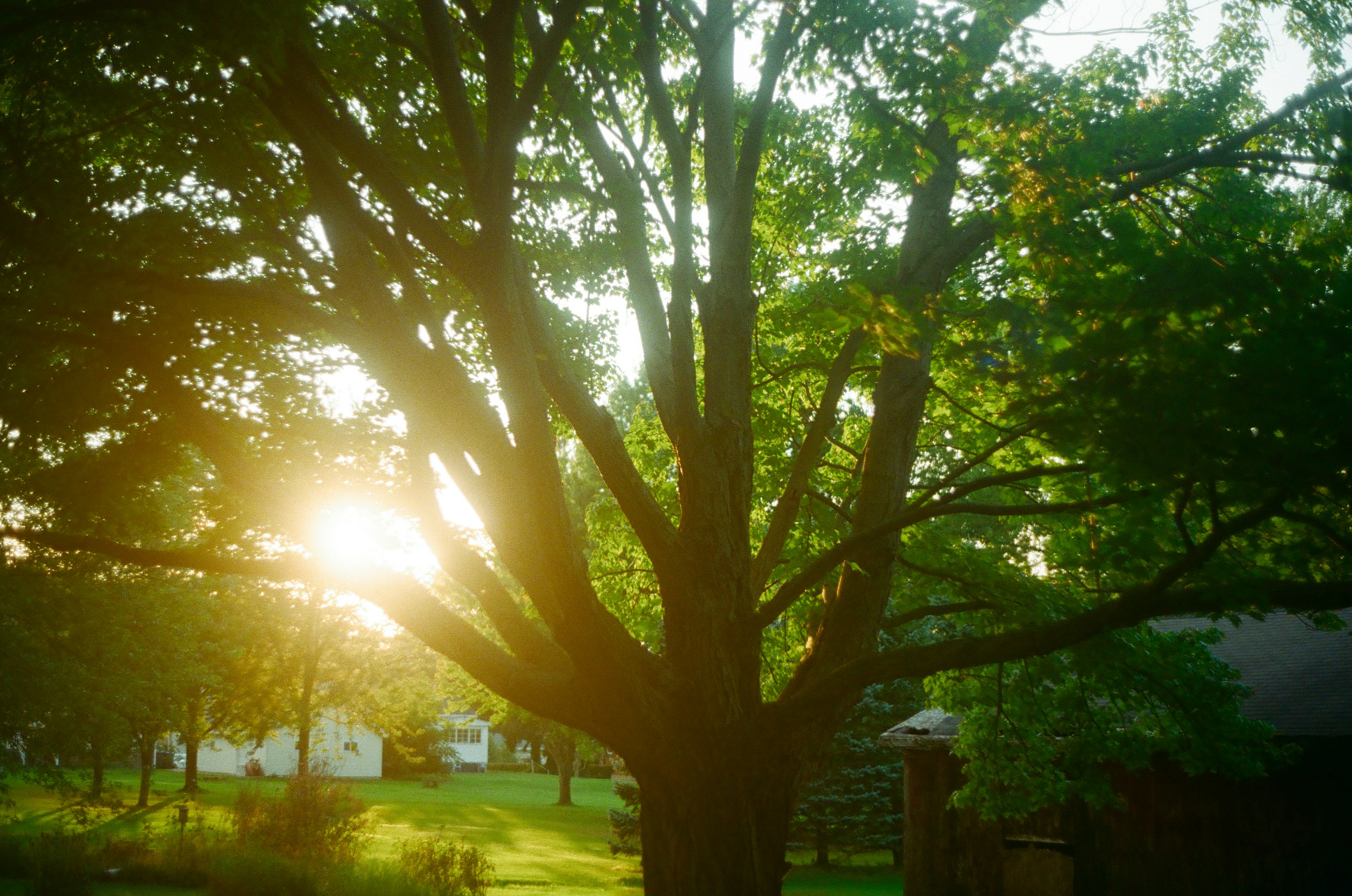 Photo by sydmoore6