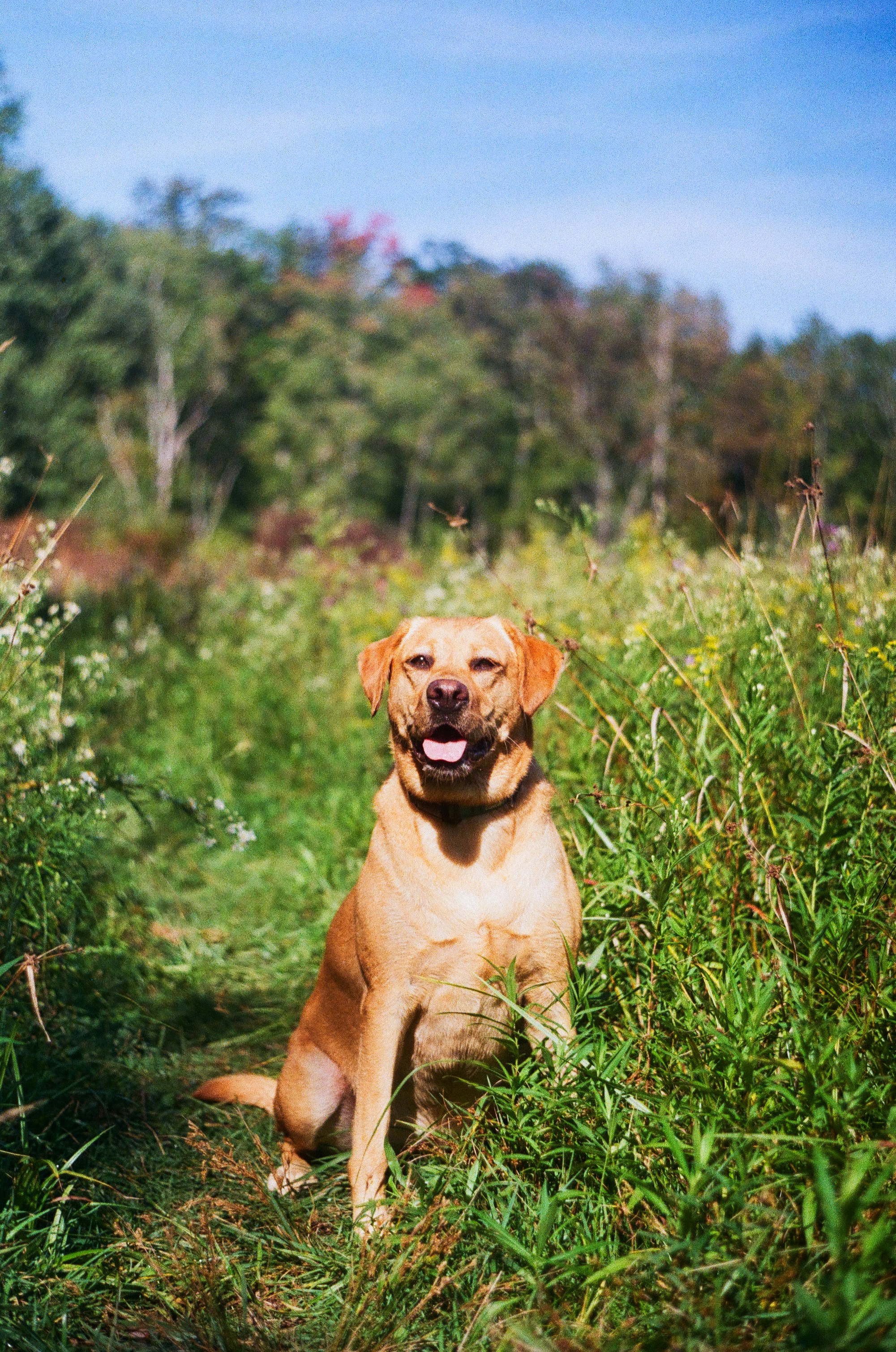 Photo by sydmoore6
