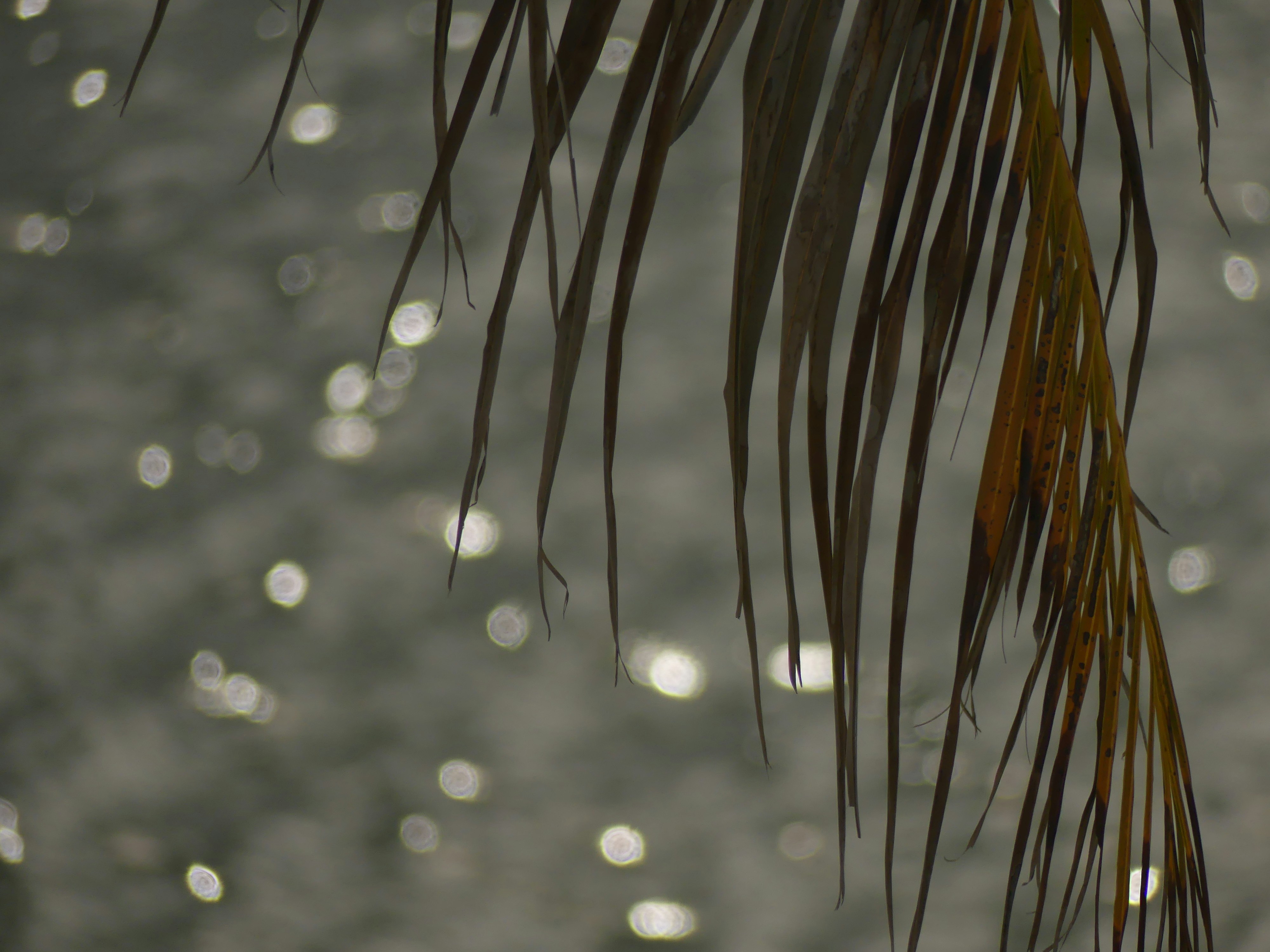 Photo by teagancross