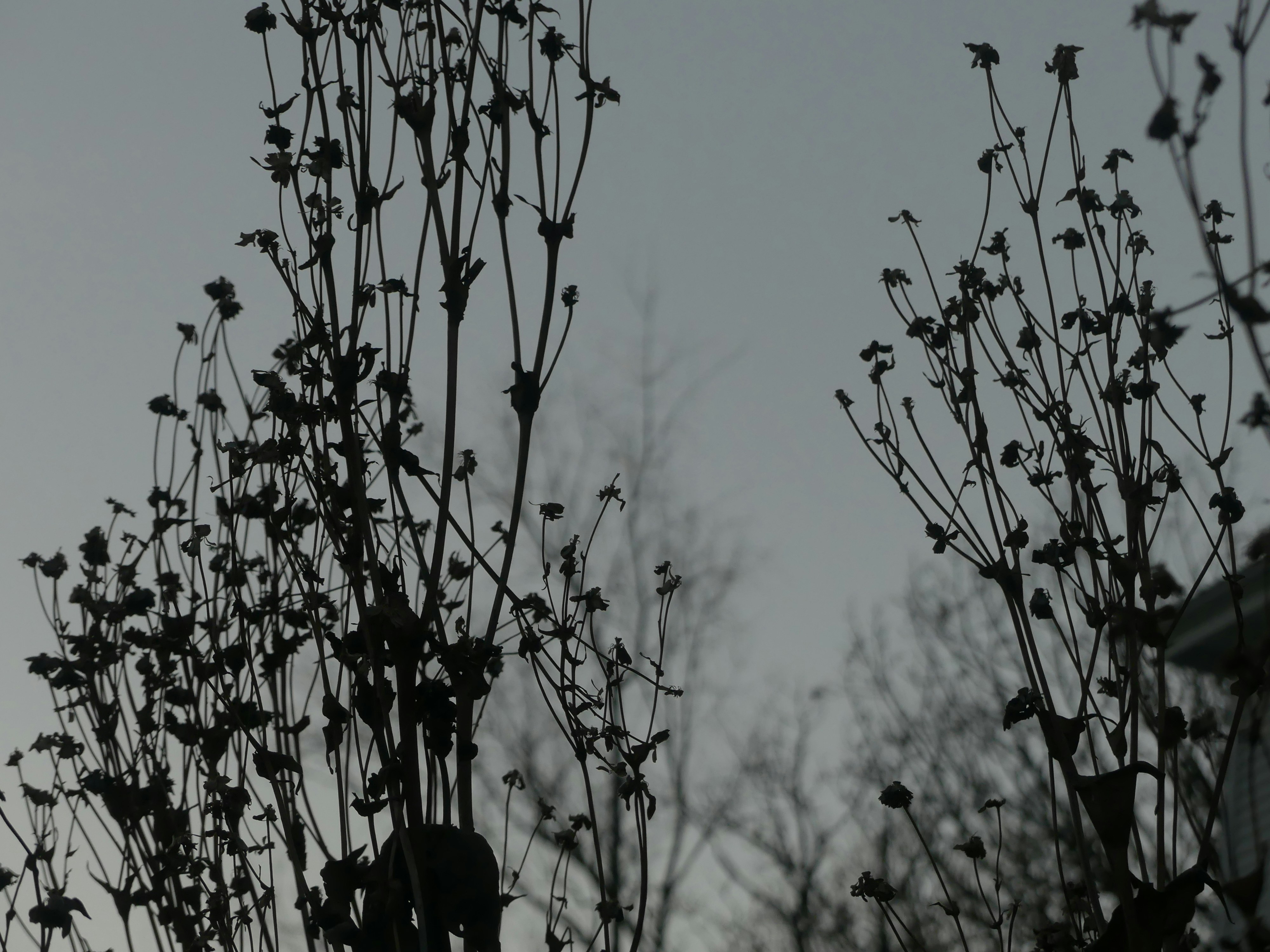 Photo by teagancross