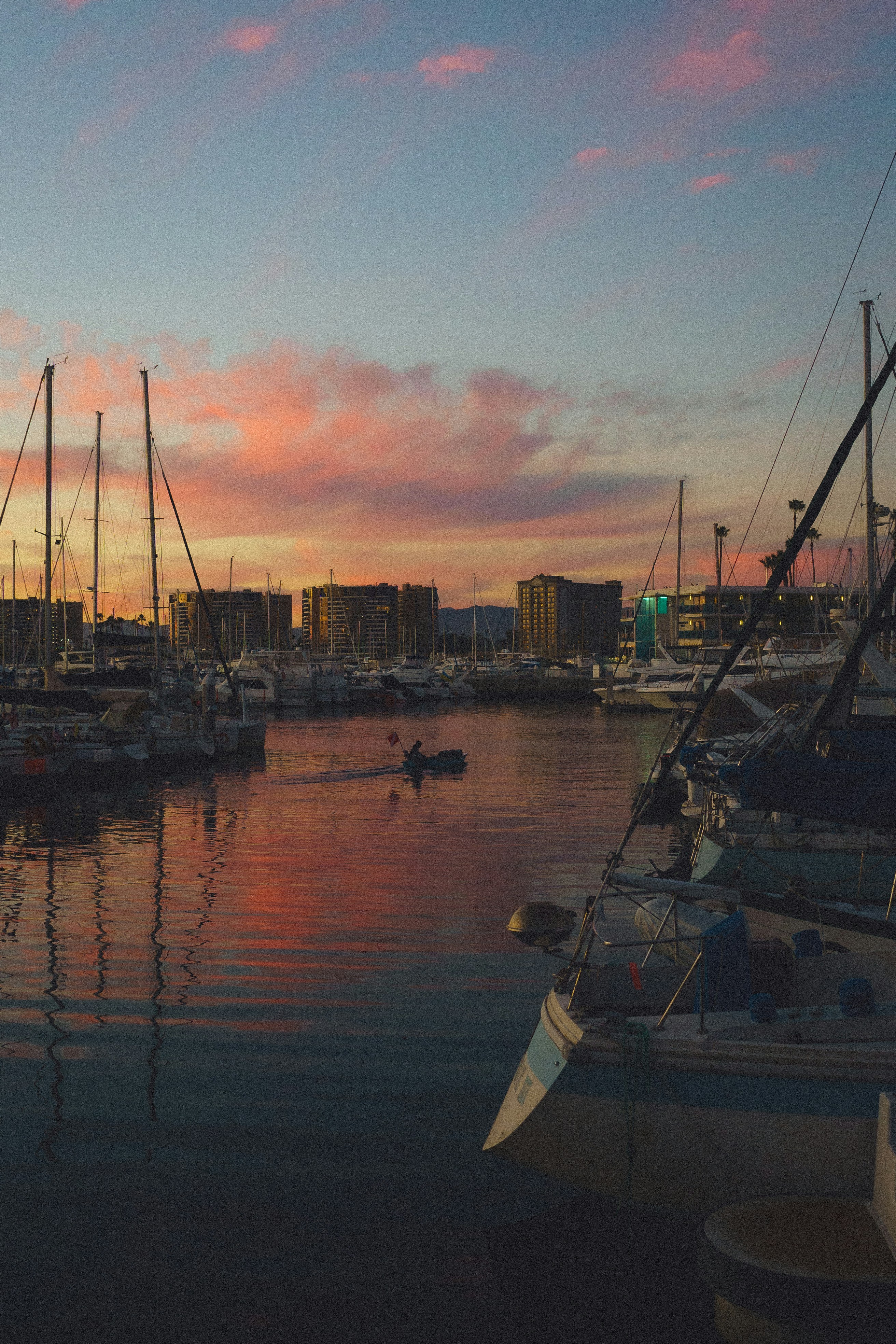 Photo by david7photog