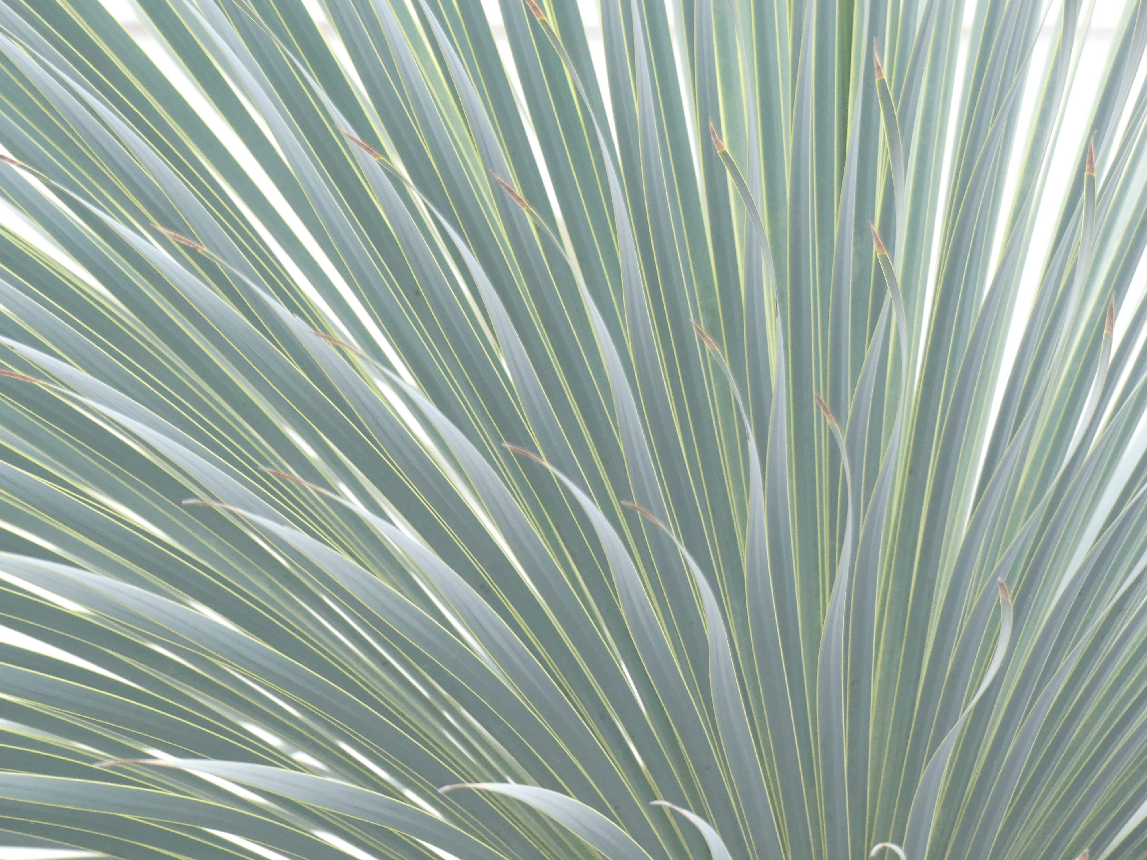 Photo by teagancross