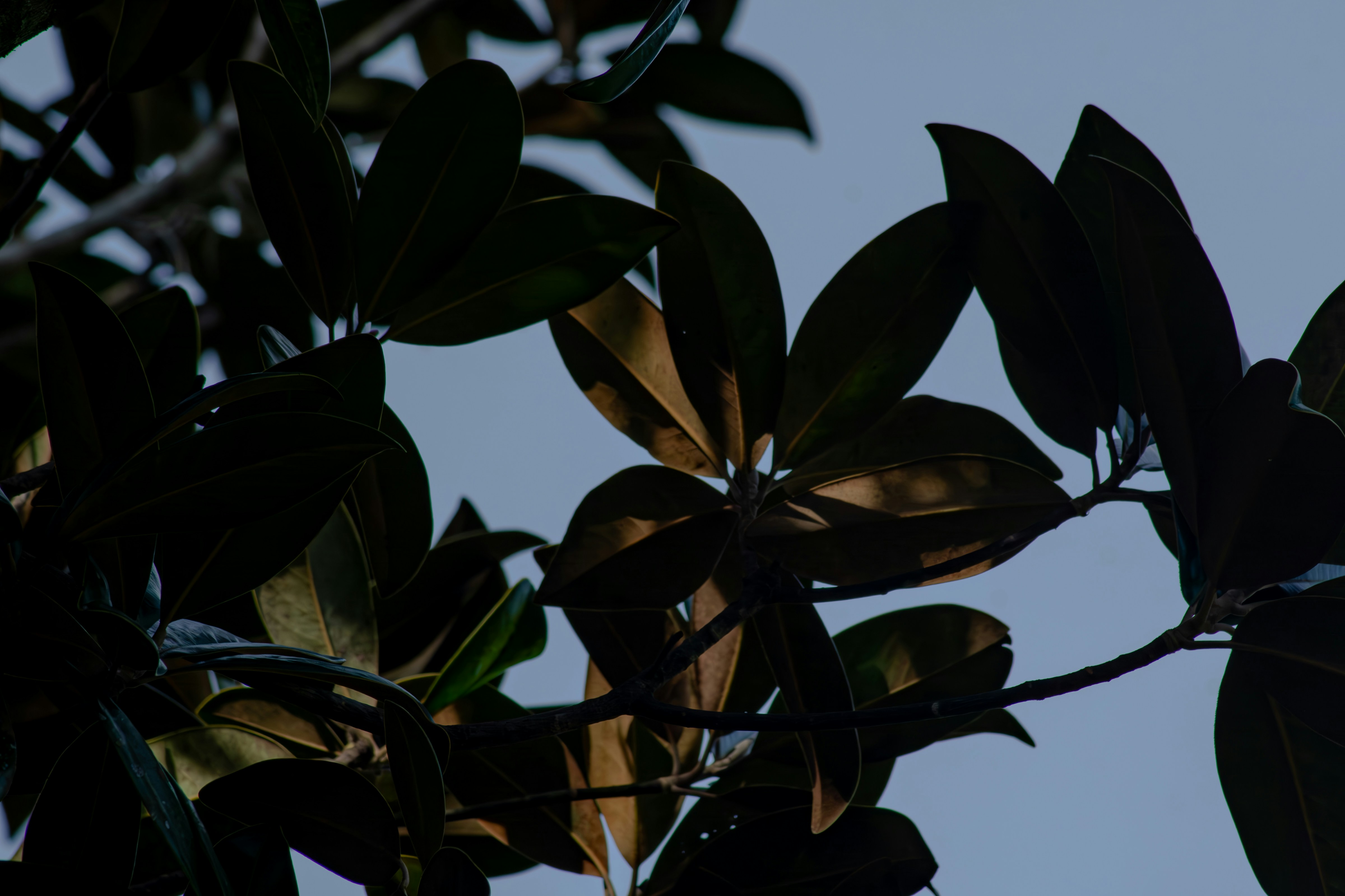 Photo by astro_civil