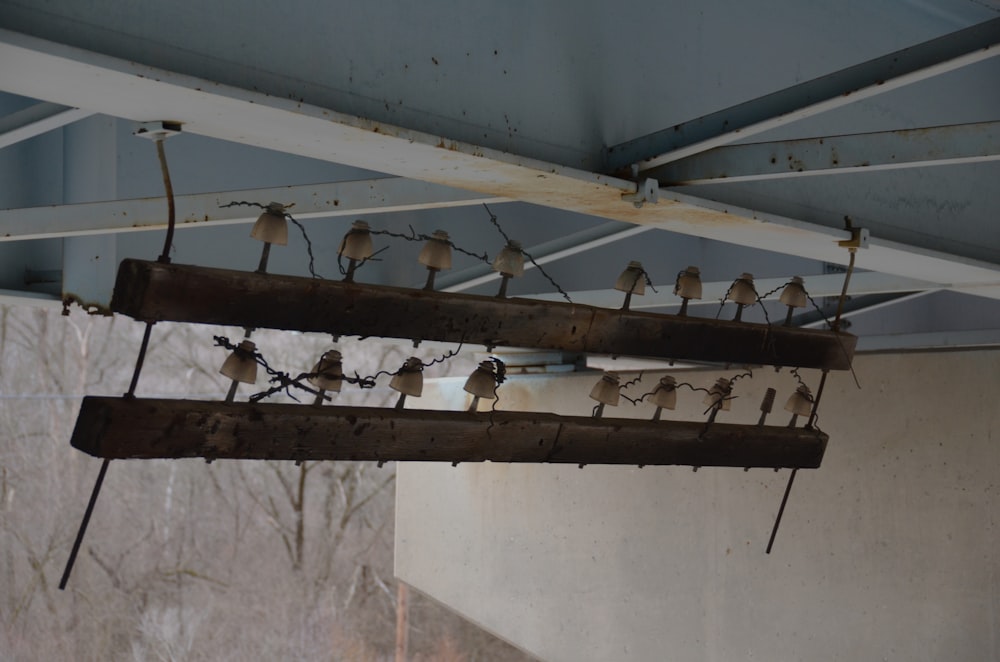 a group of birds sitting on top of a metal beam