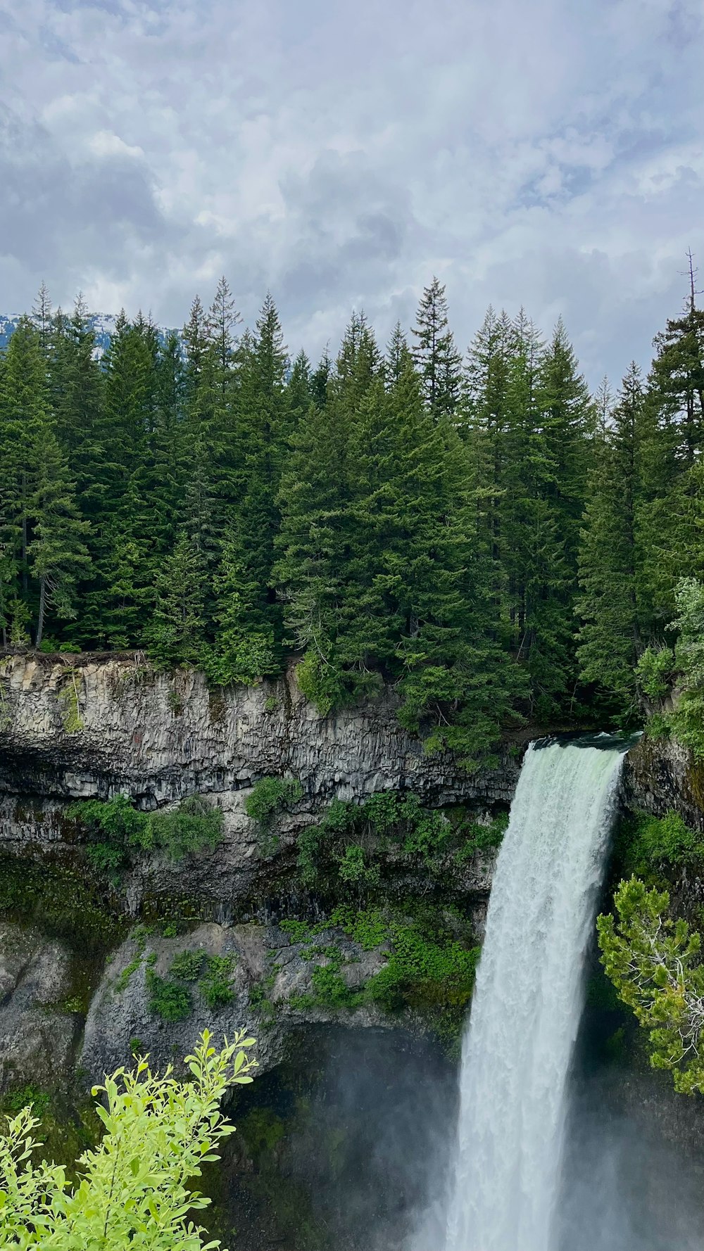 a waterfall in the middle of a forest