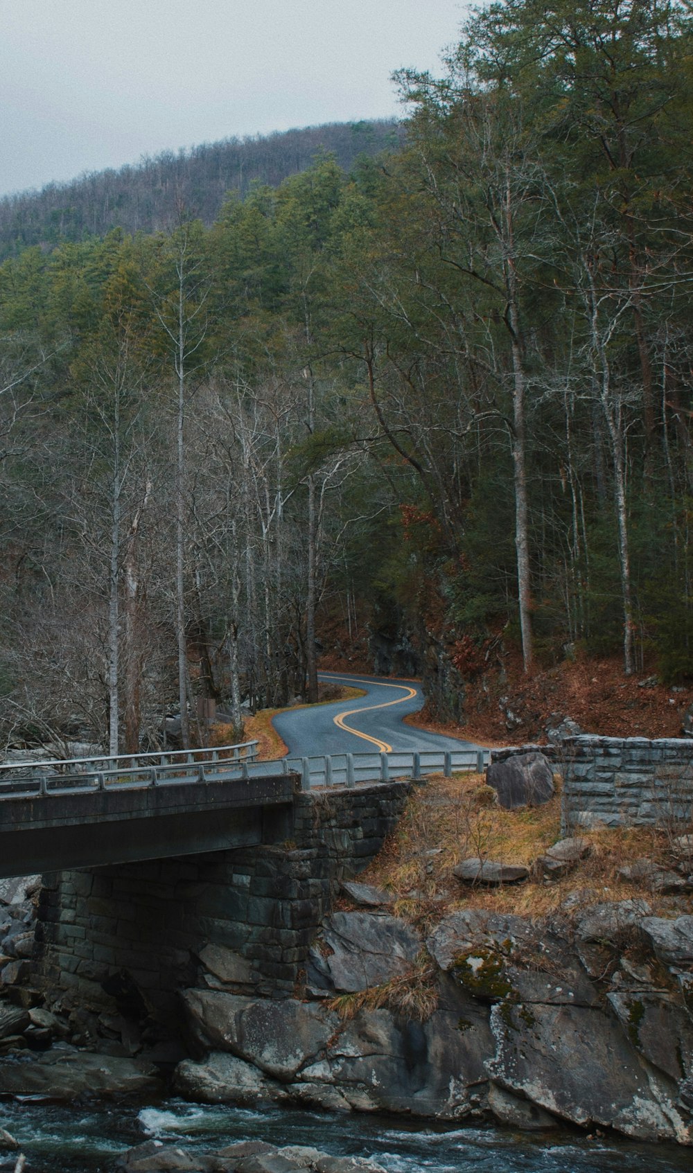 Un pont au-dessus d’une rivière au milieu d’une forêt