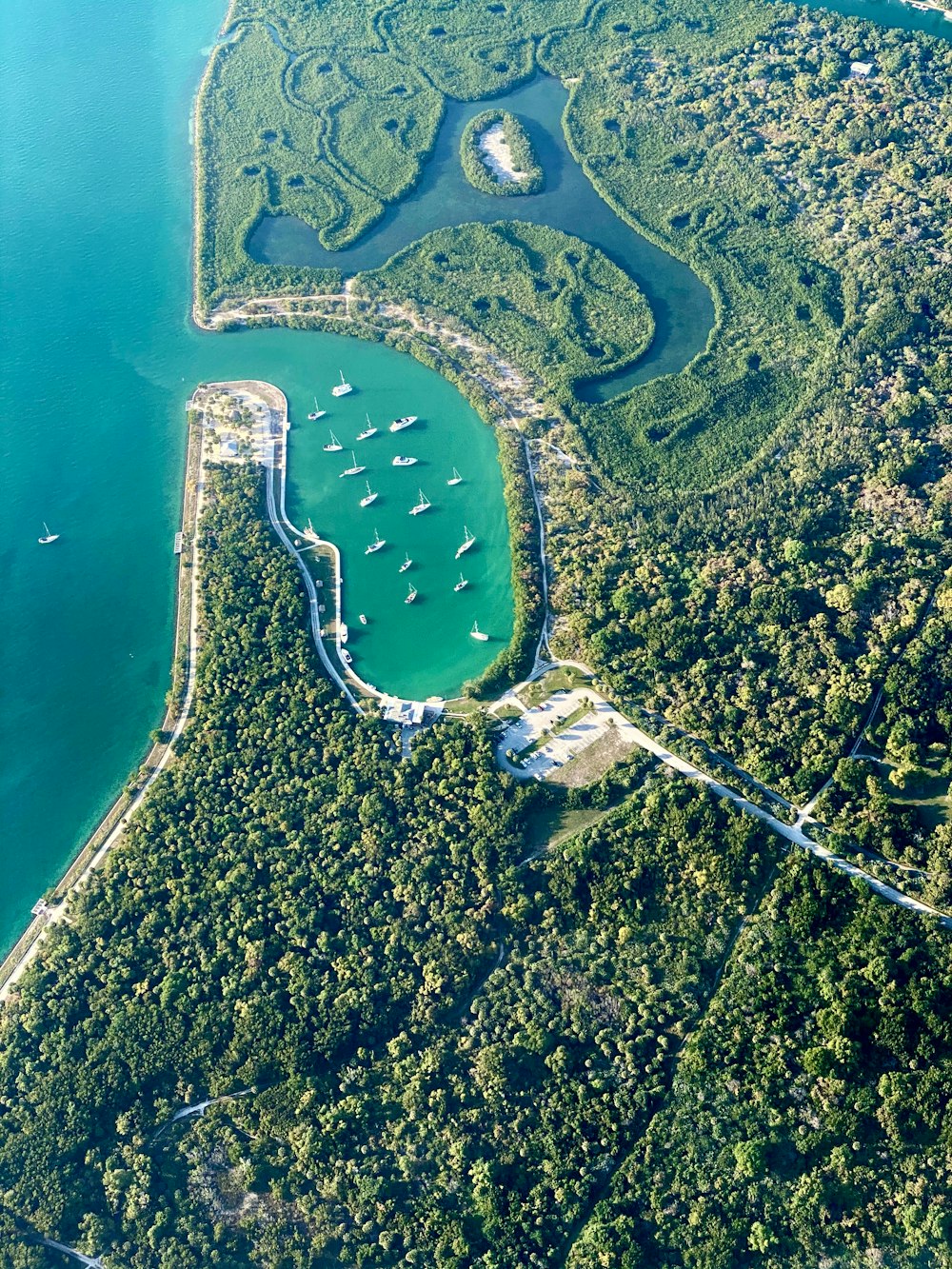 Un gran cuerpo de agua rodeado de frondosos árboles verdes