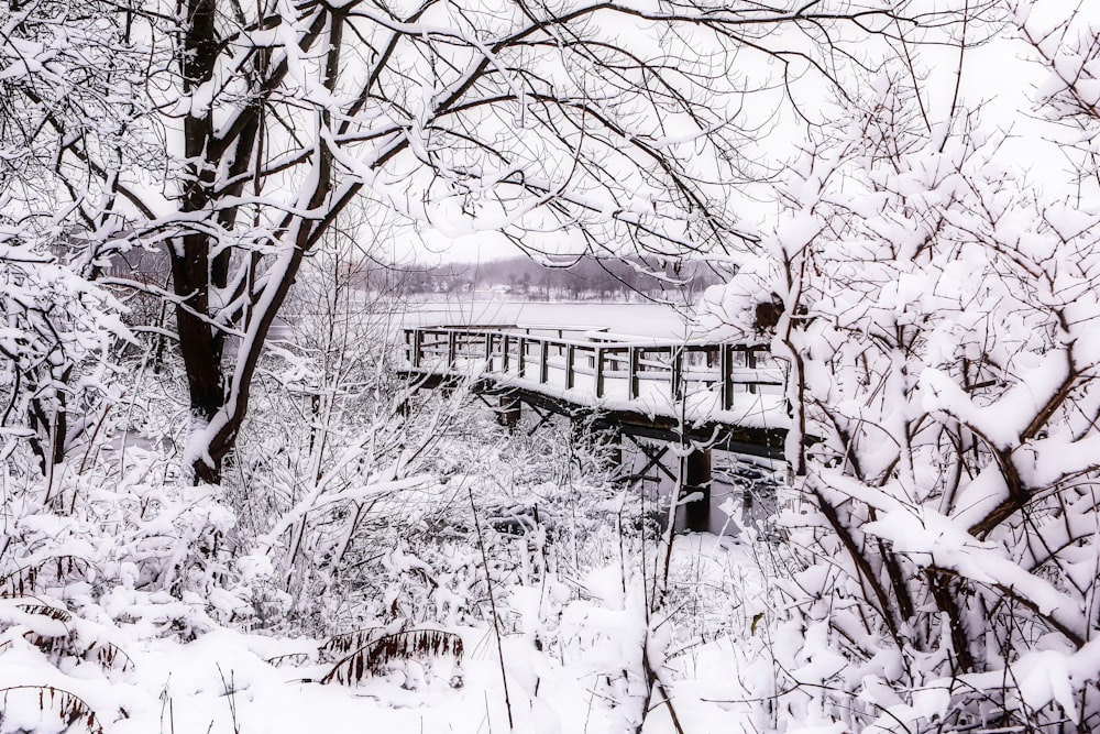 a bridge in the middle of a snowy forest