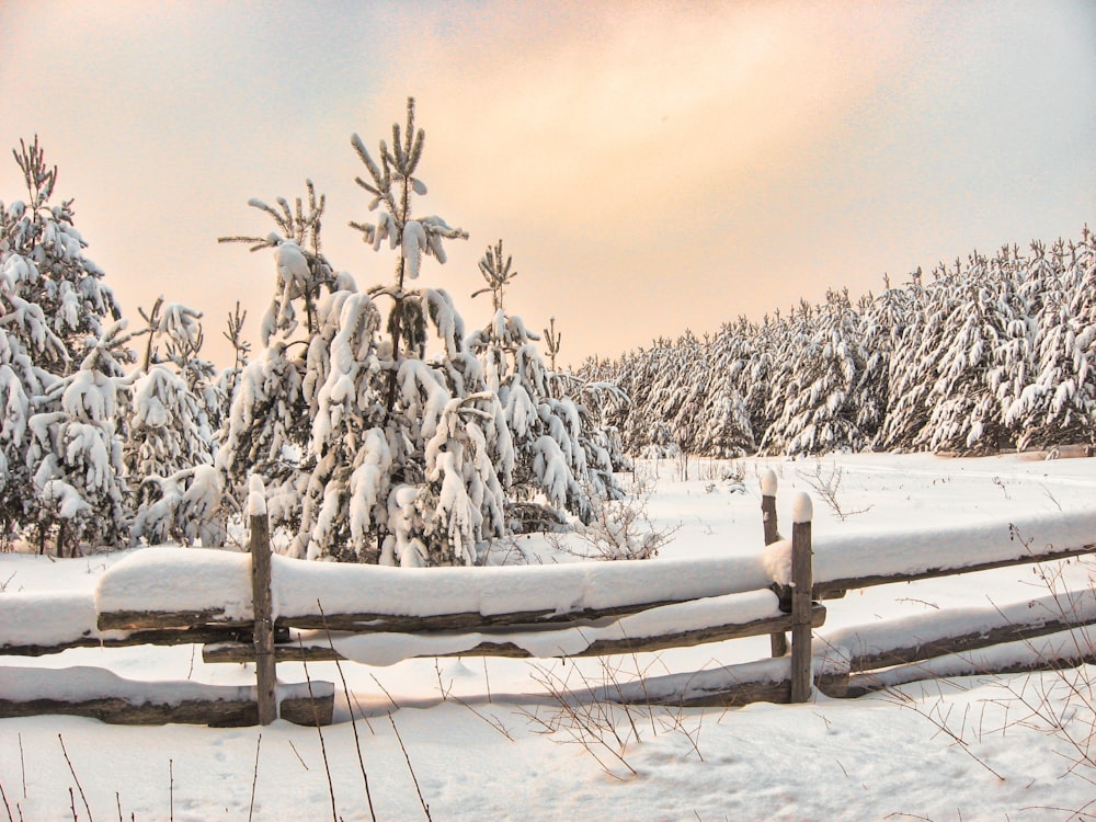 a snow covered field with a wooden fence