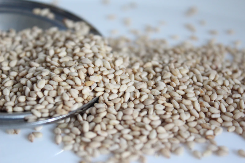 Oil Seeds