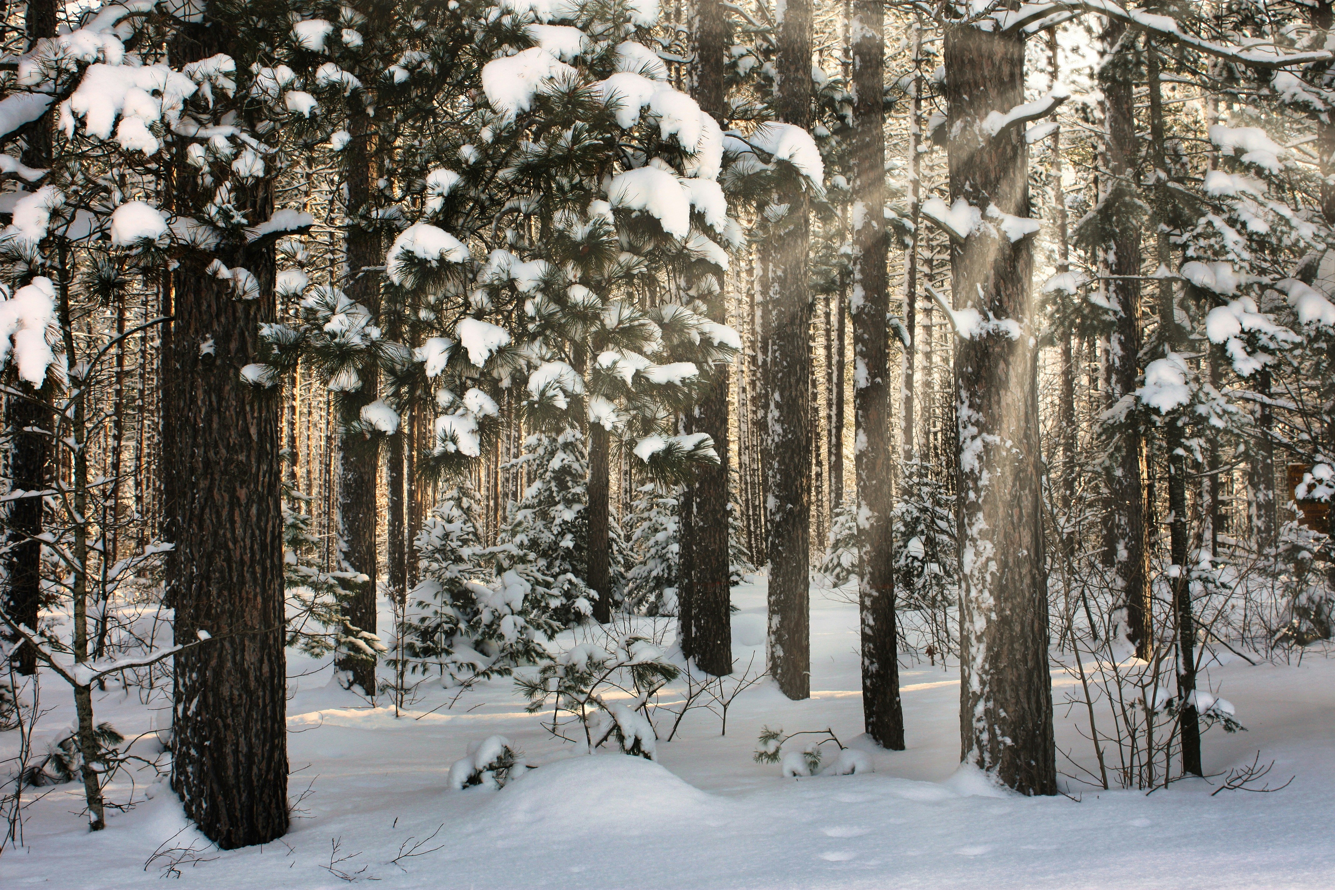 Photo by terry885908