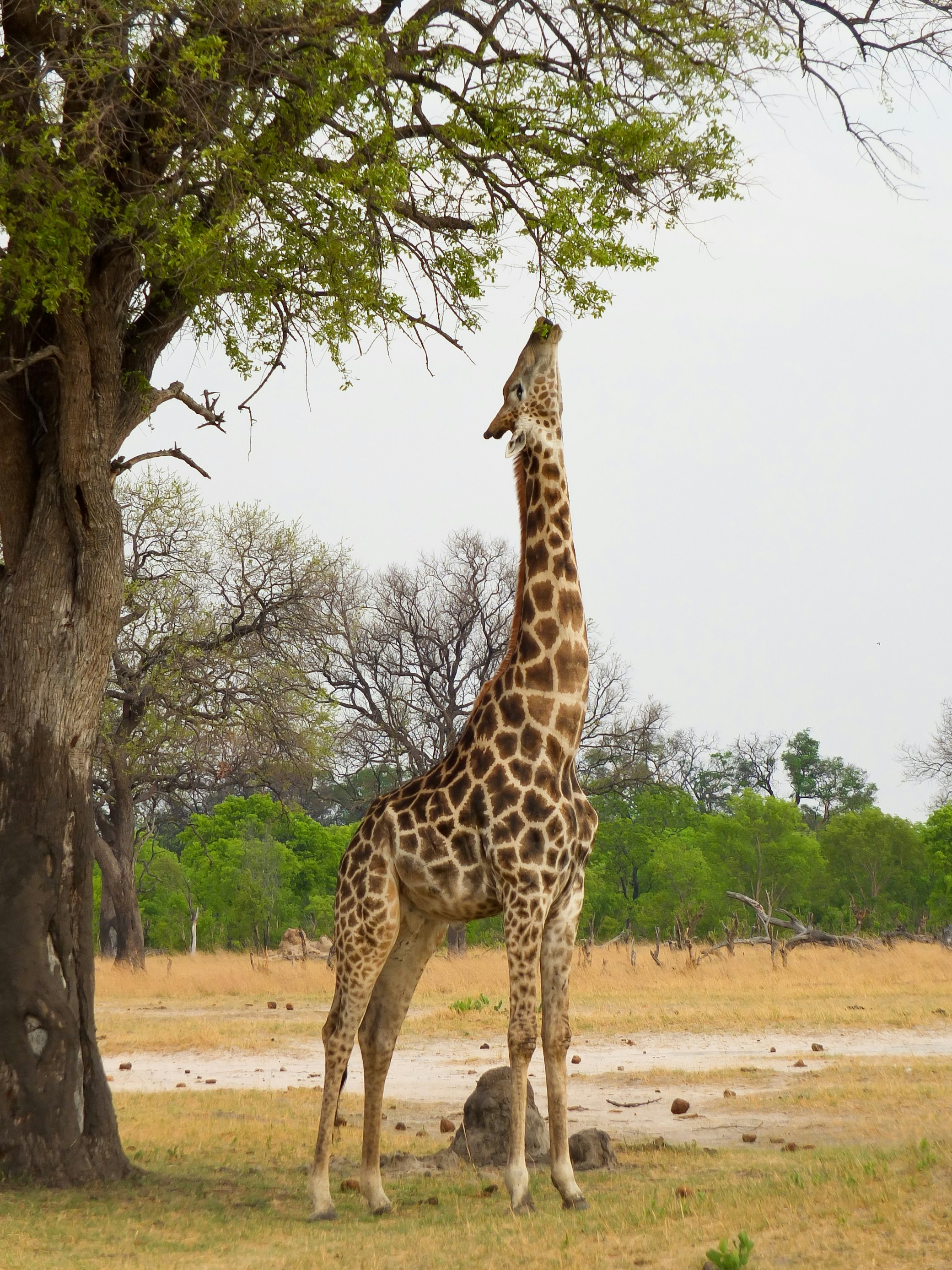 Photo by terry885908