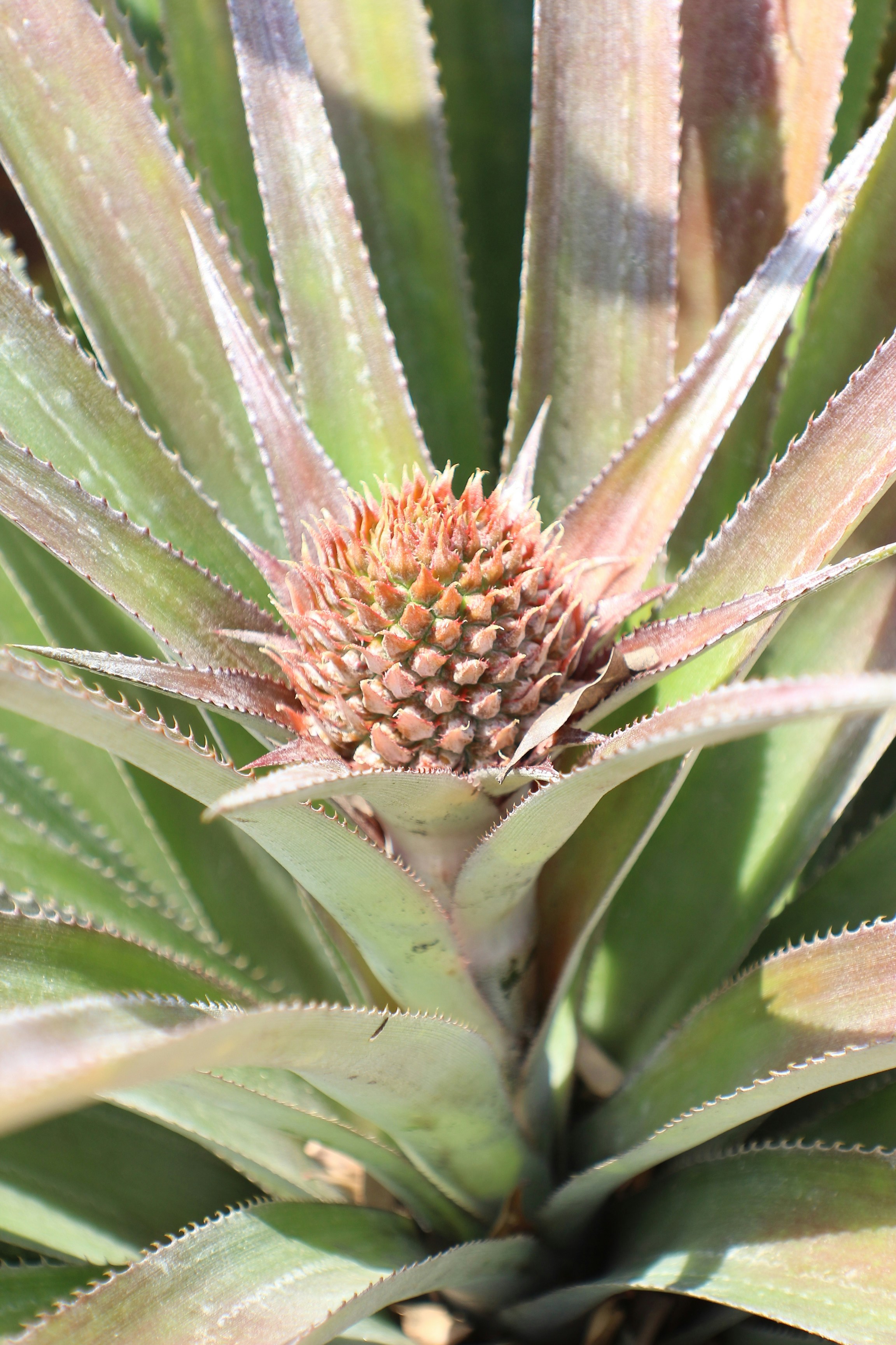 Photo by babylynsantos78