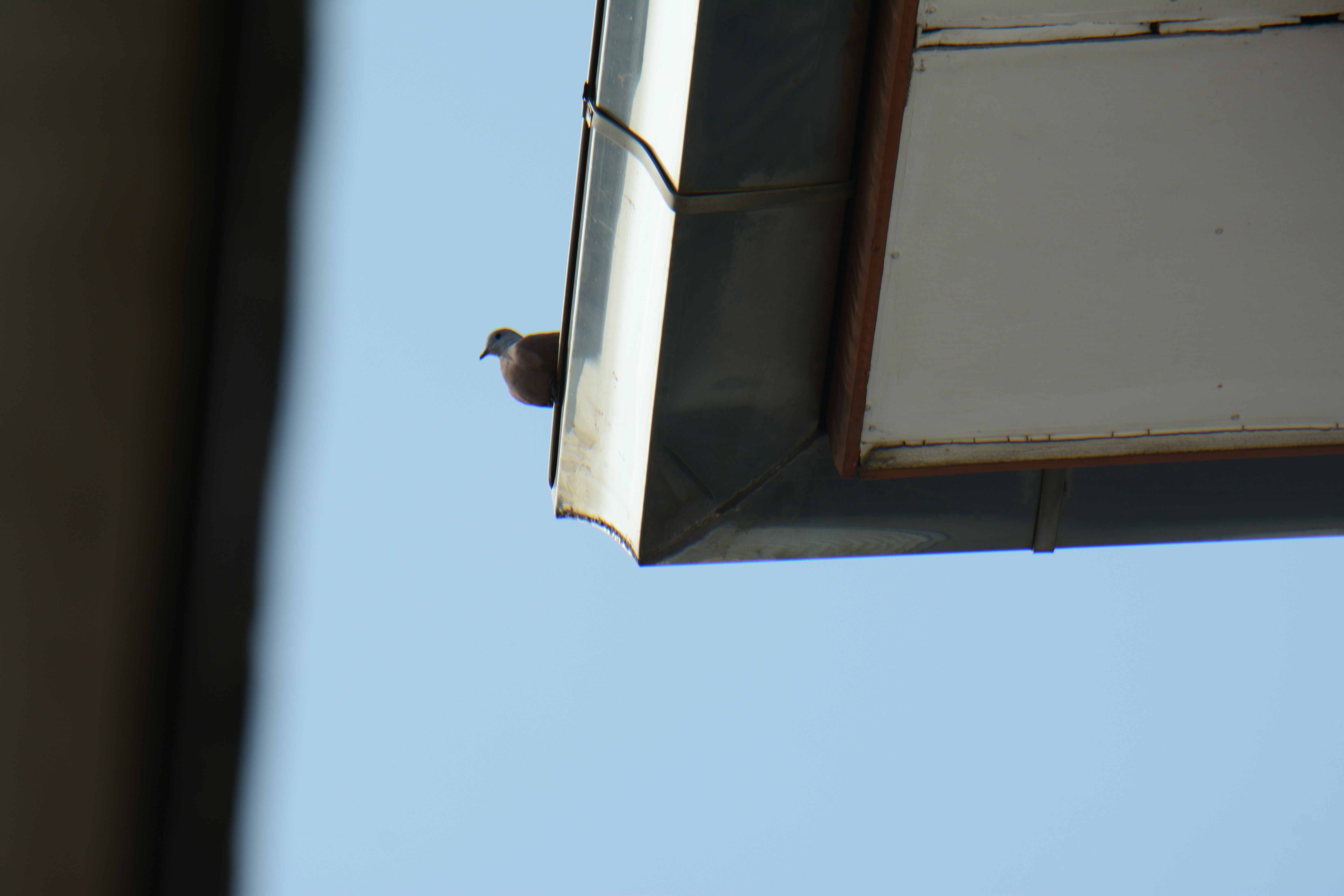 Photo by kuyuneth2543