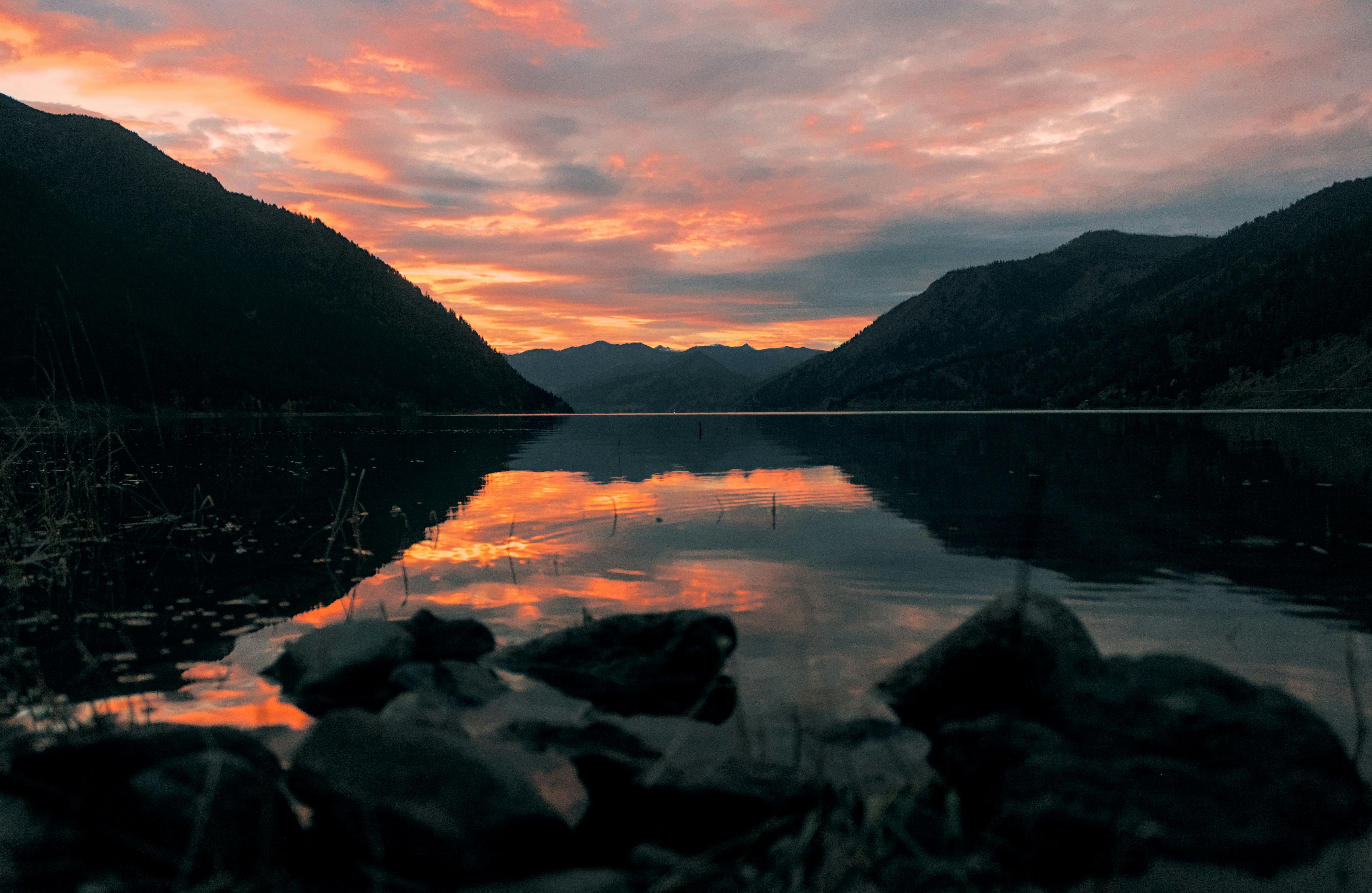 Photo by dcanadianphotographer