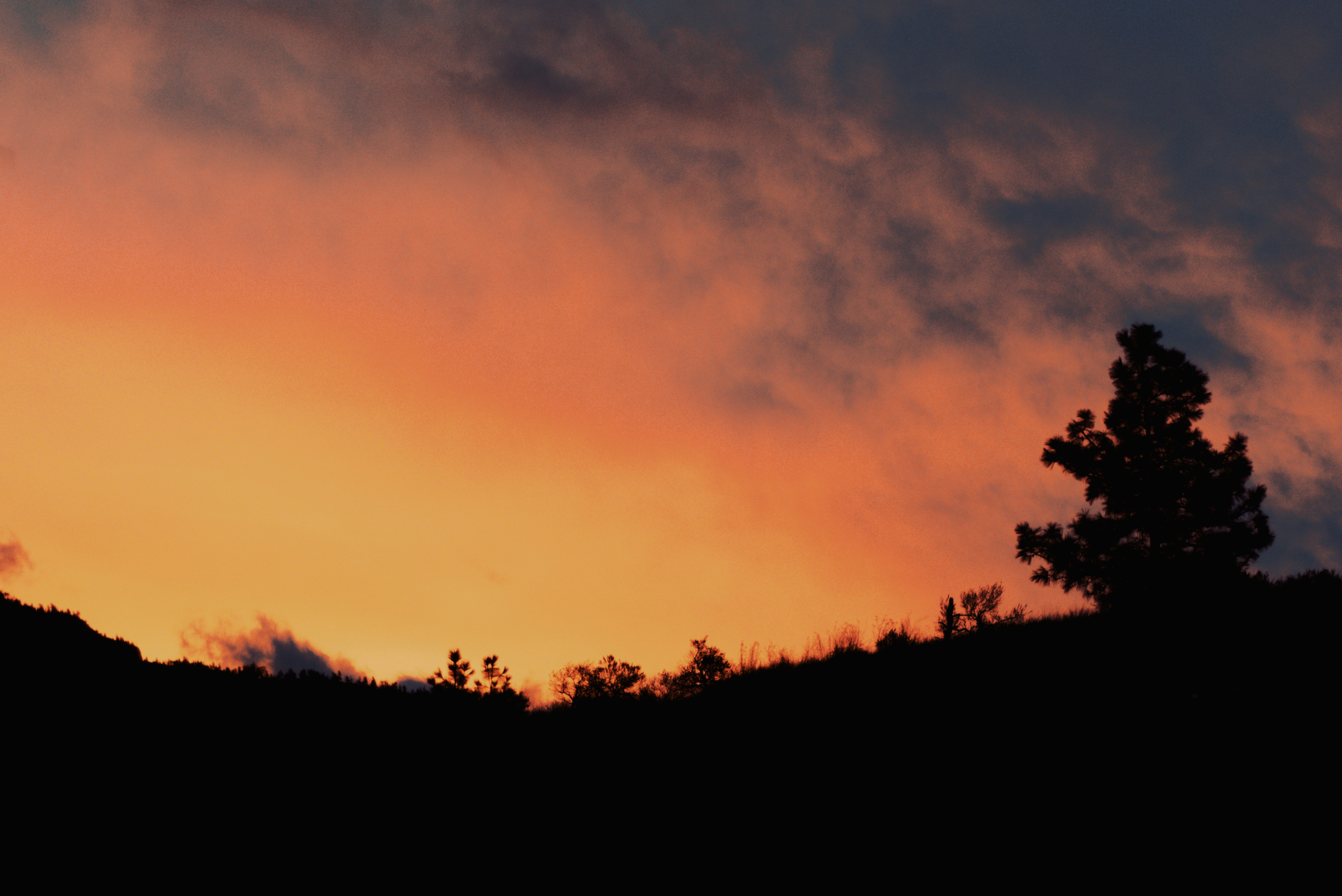 Photo by dcanadianphotographer