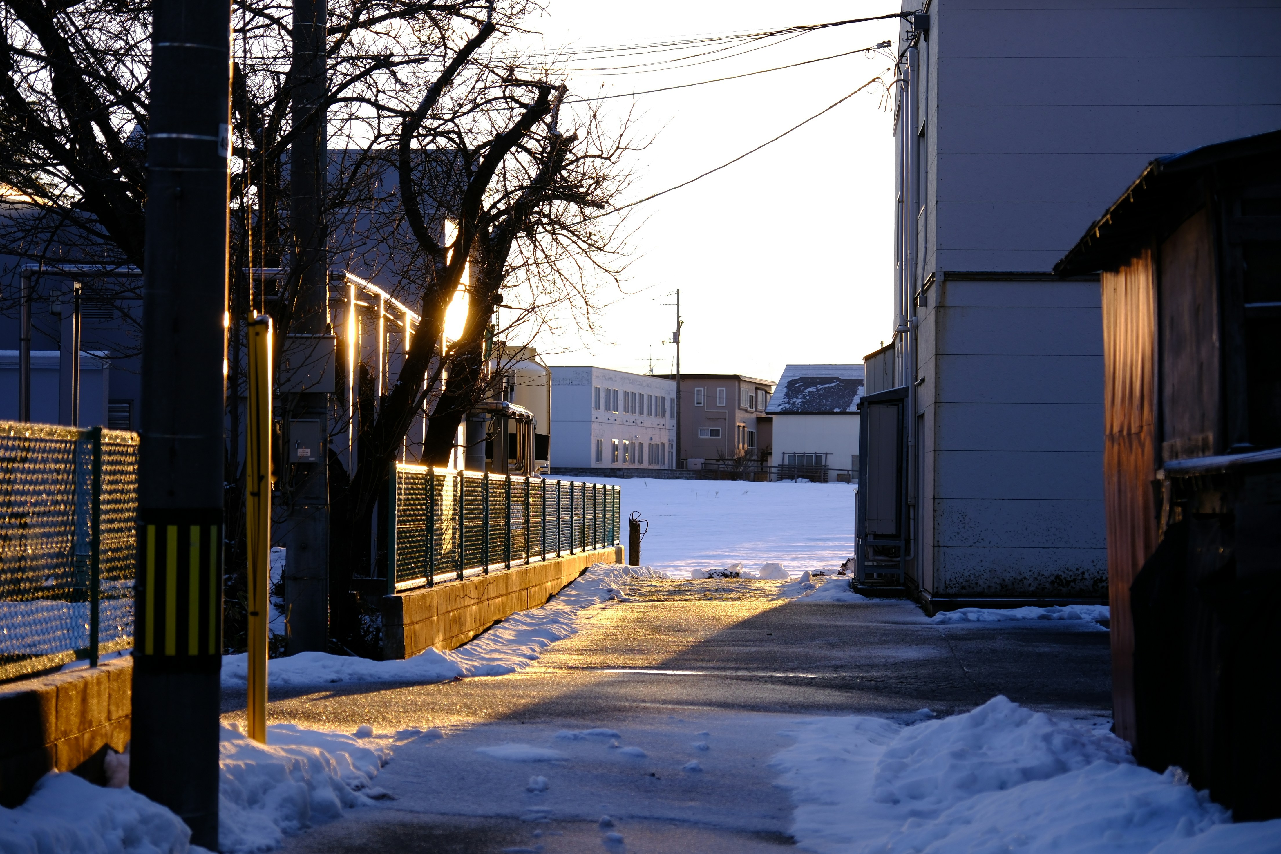 Photo by seiya_maeda