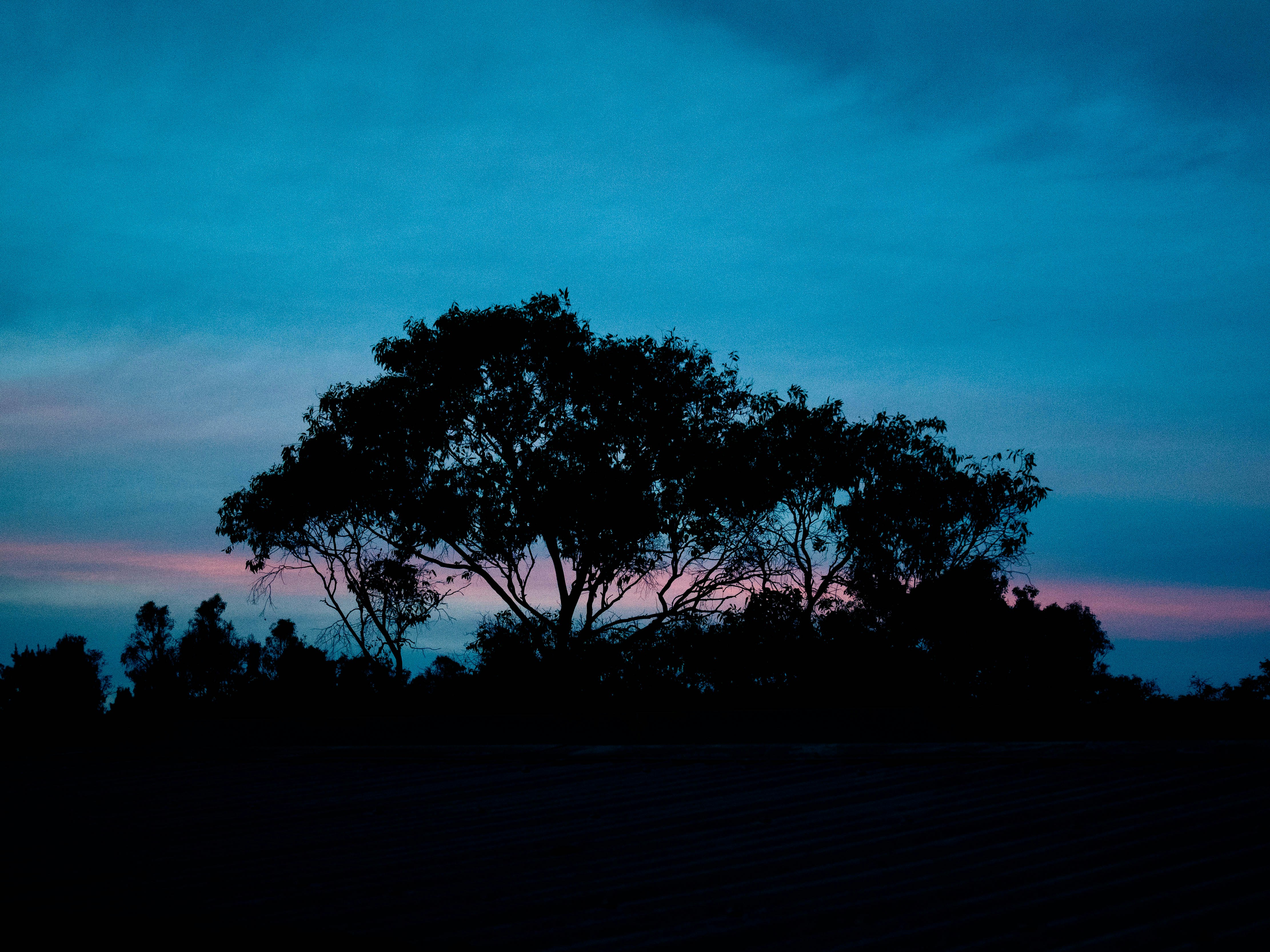 Photo by maivophucthanh