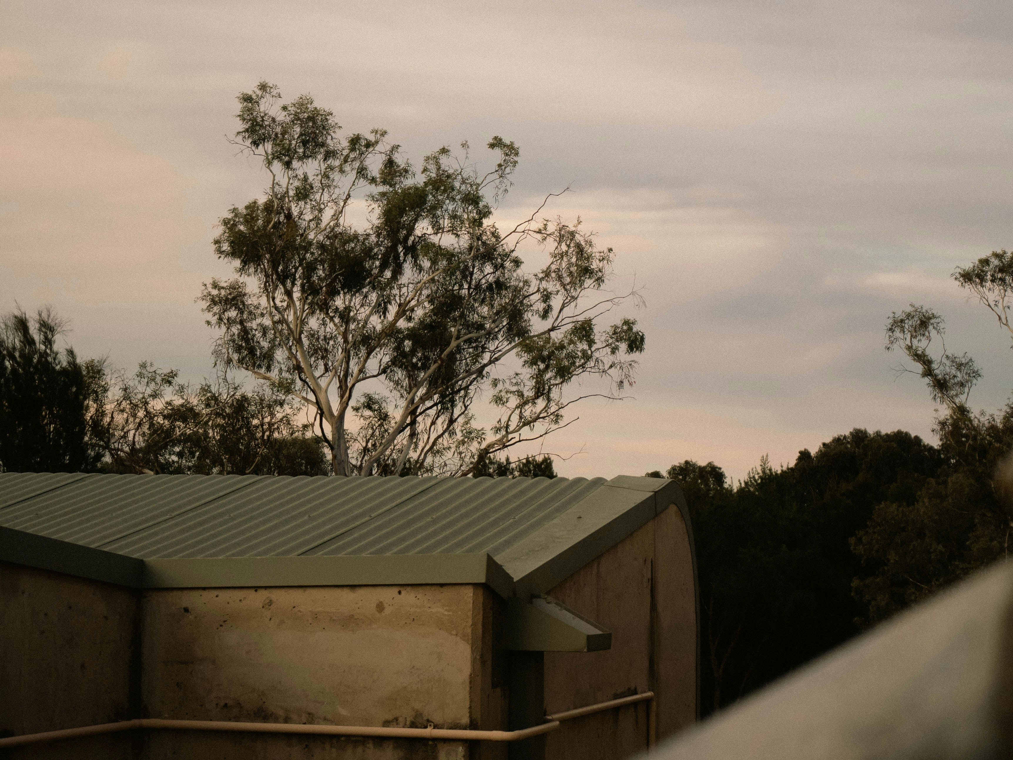 Photo by maivophucthanh