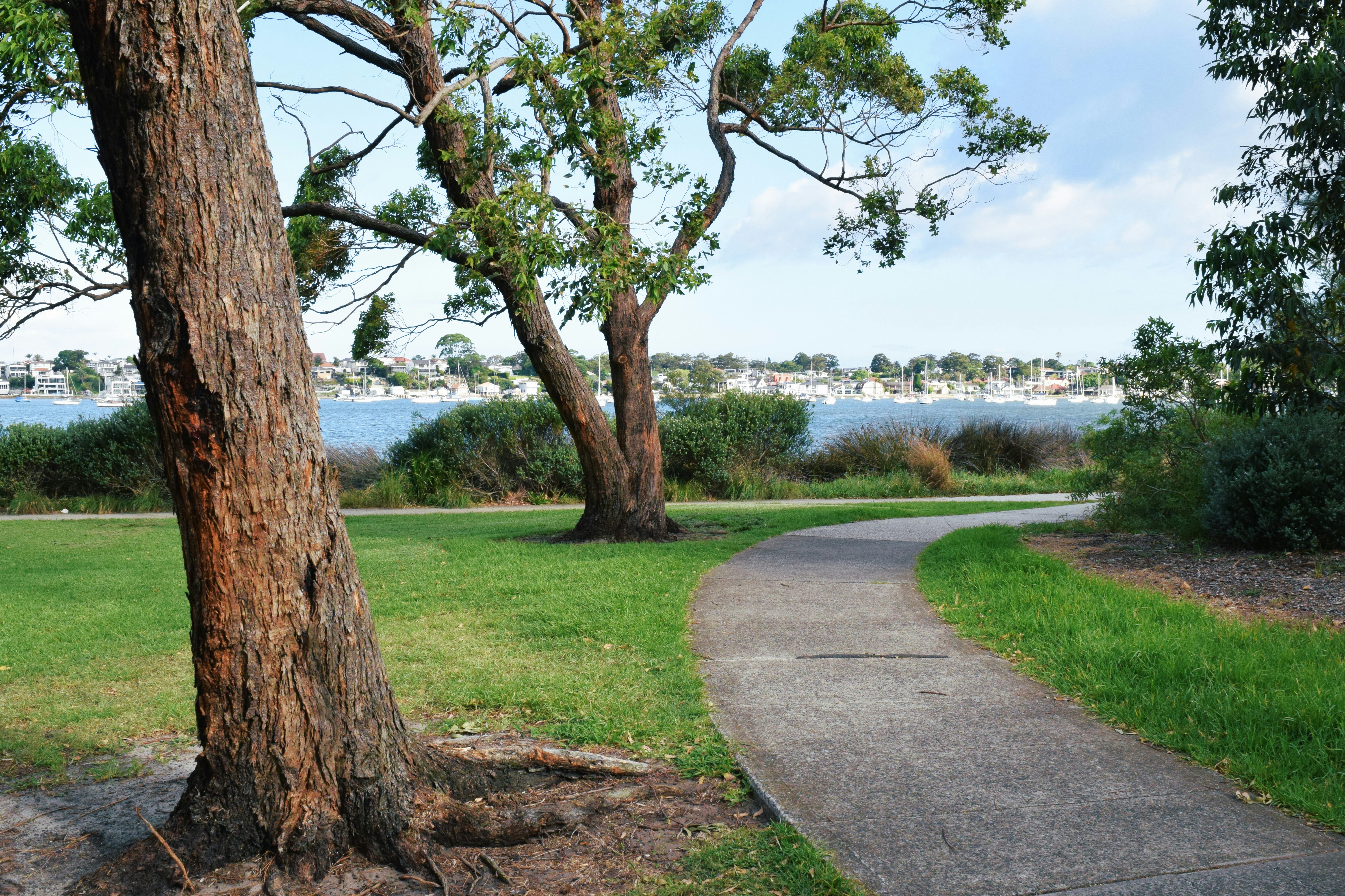 Photo by ch_photography