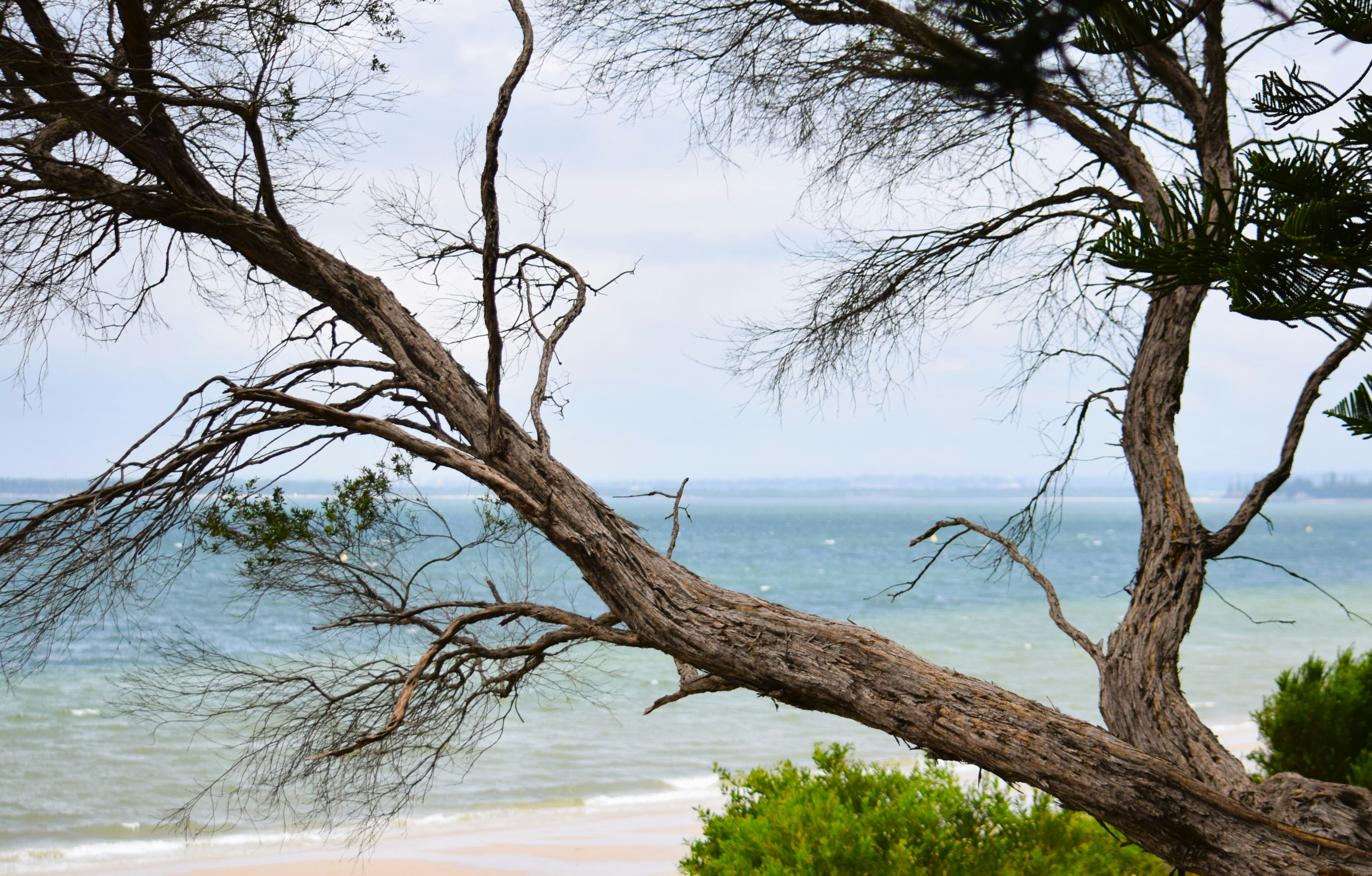 Photo by ch_photography