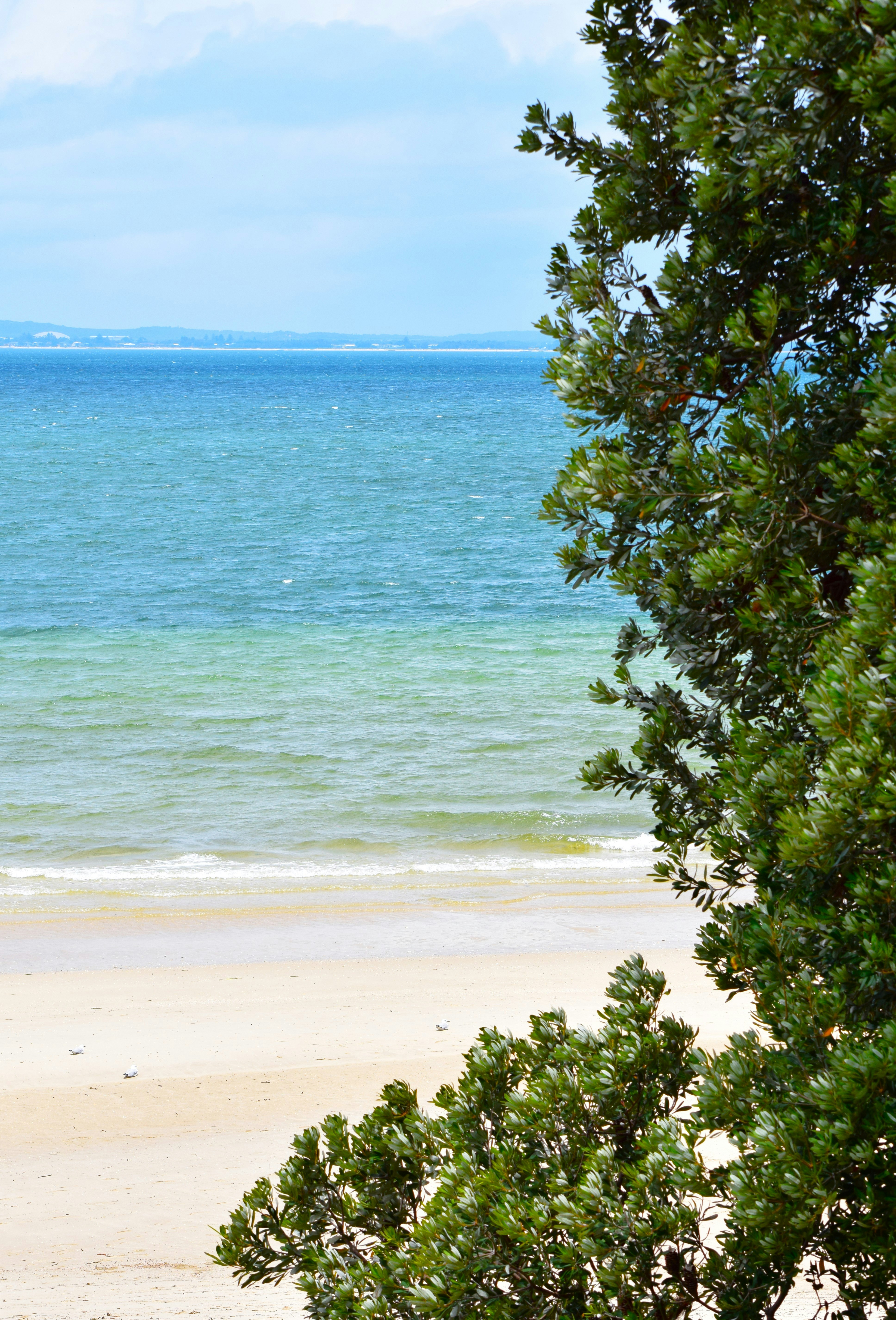 Kyeemagh, New South Wales