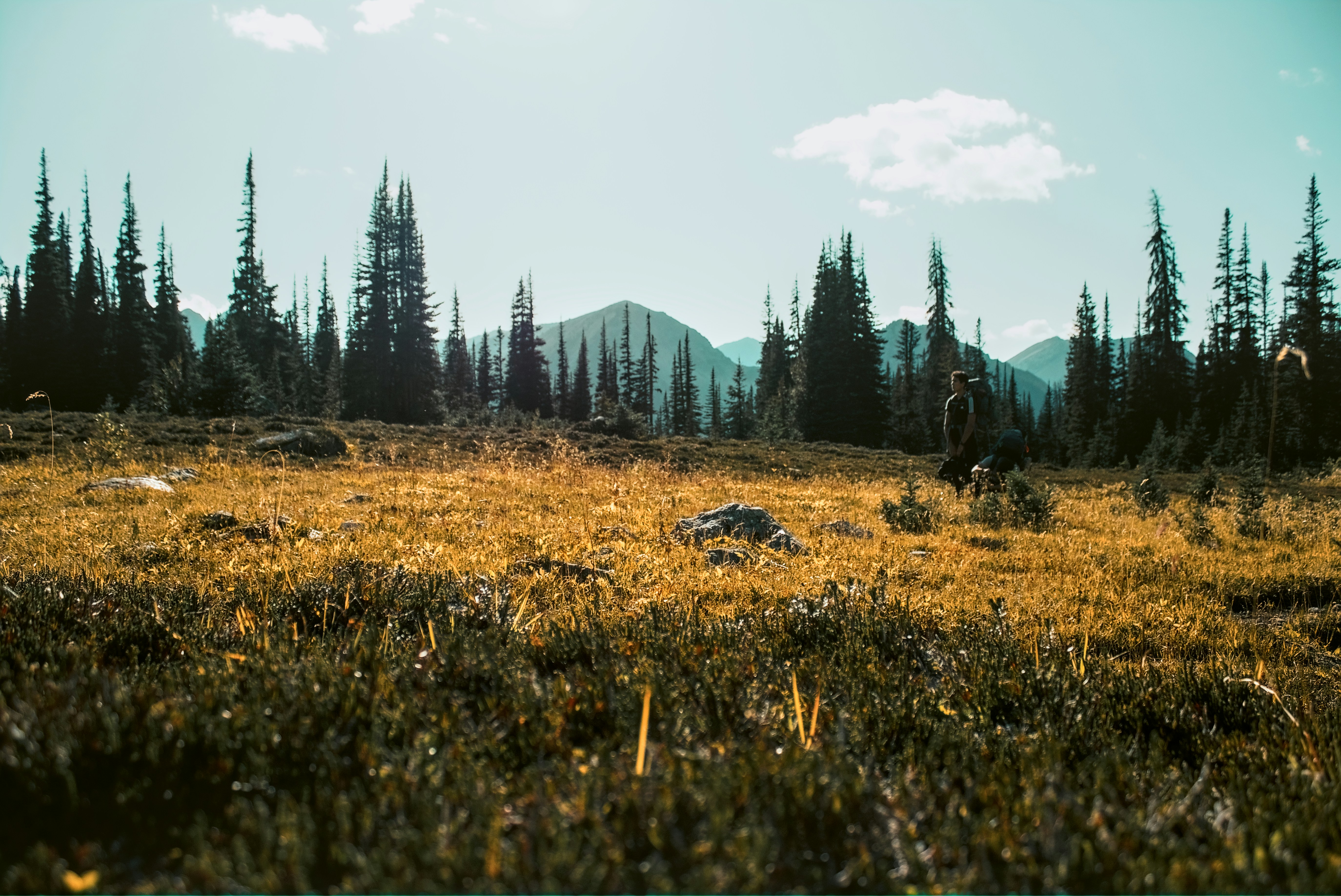 Photo by dcanadianphotographer