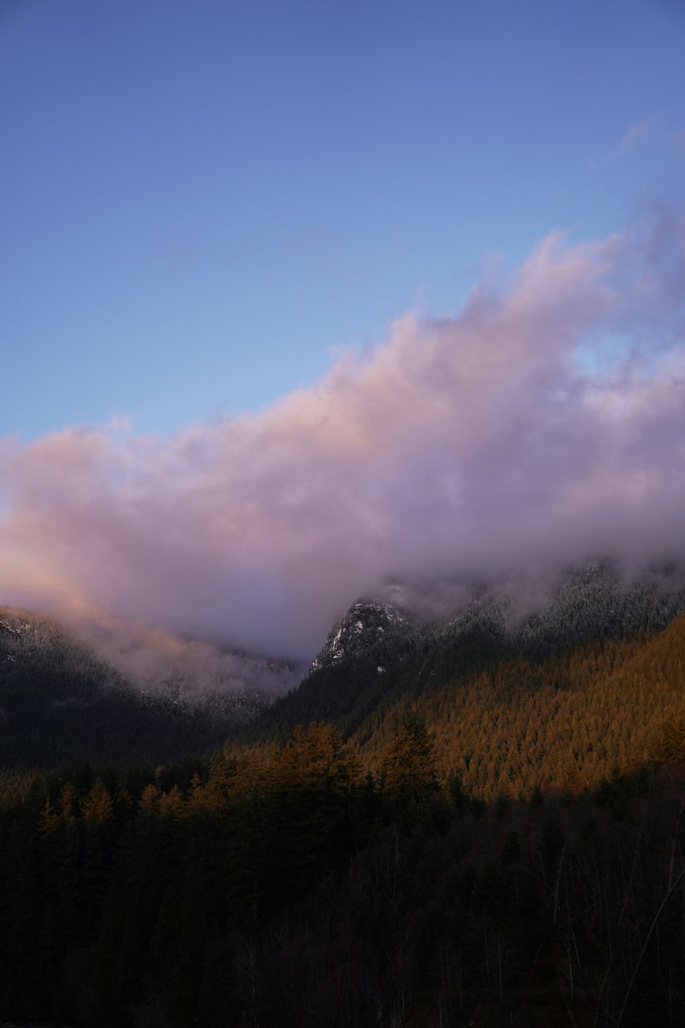 a mountain covered in clouds and trees under a blue sky