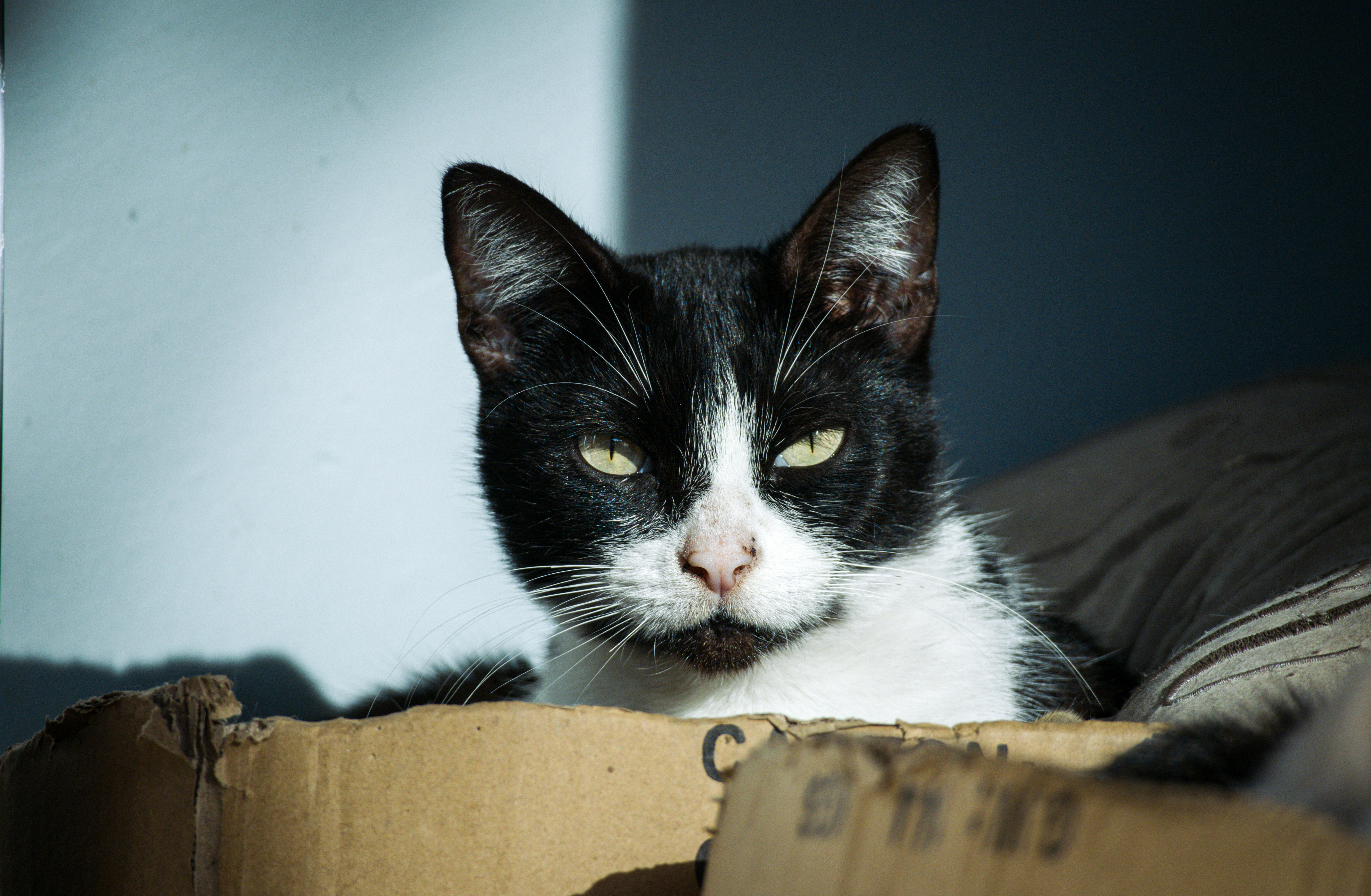 Photo by oscardelalanza