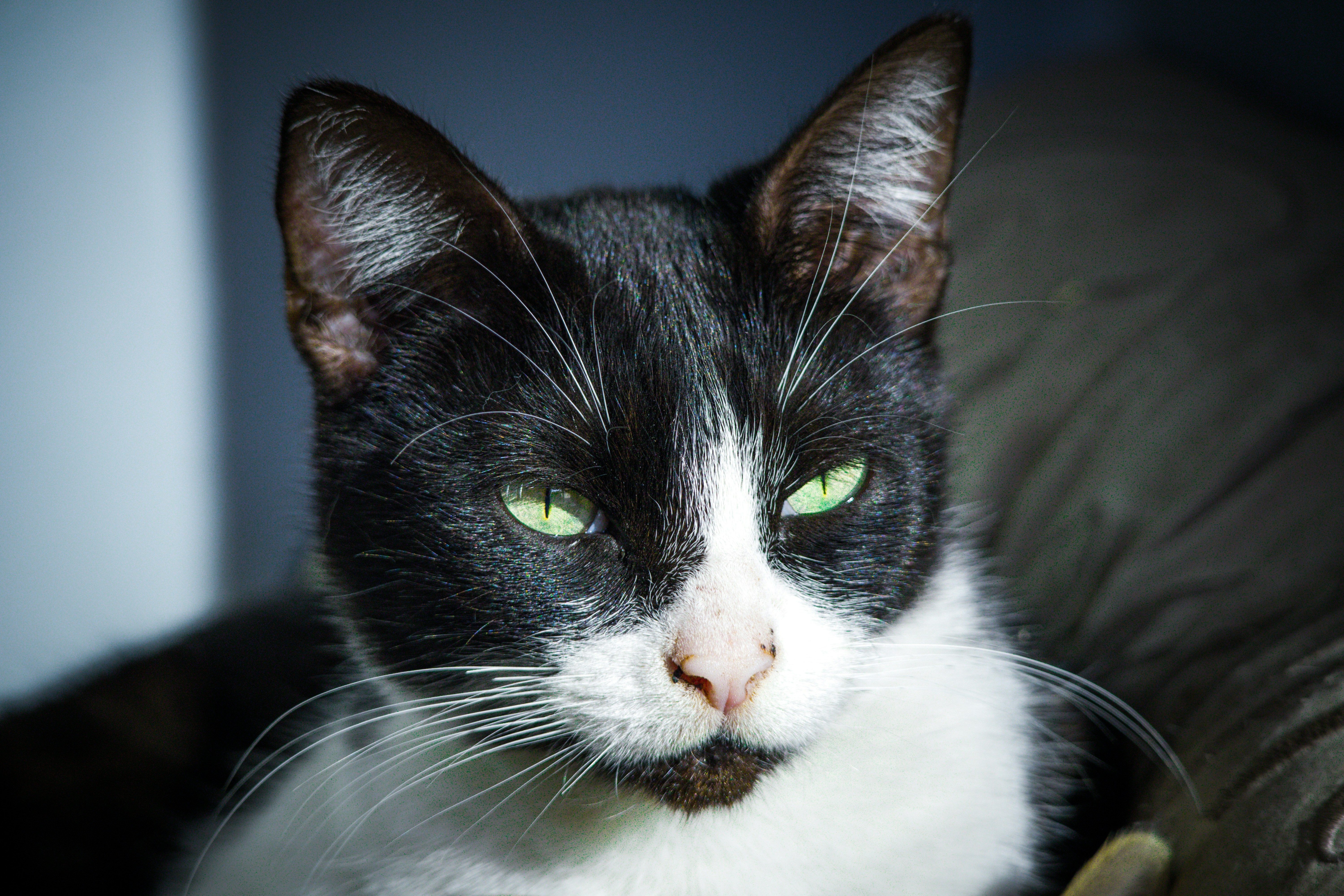 Photo by oscardelalanza