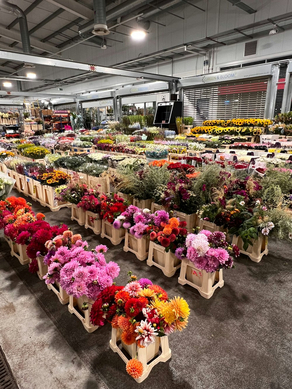 a room filled with lots of different types of flowers