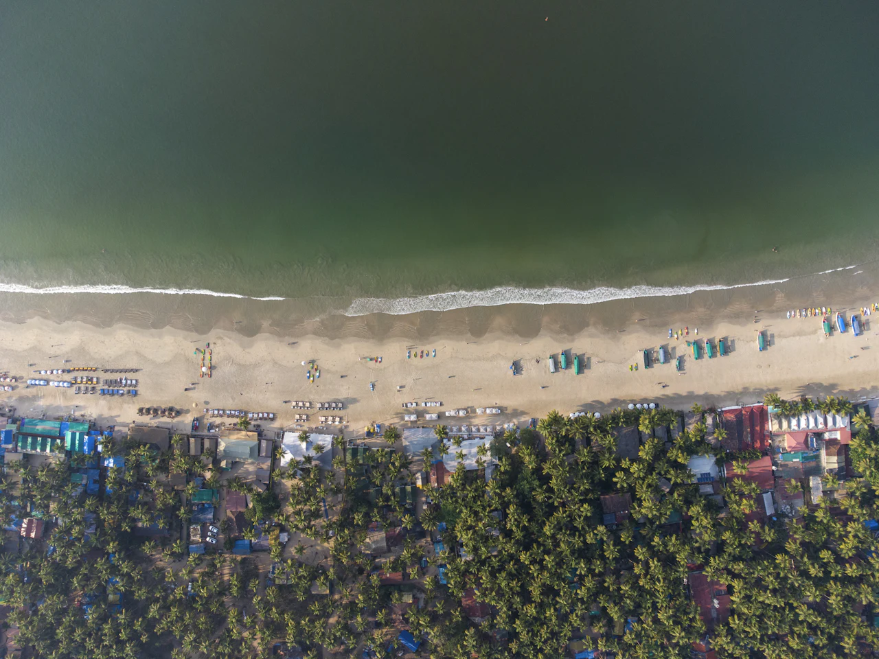Aerial view of a busy North Goa beach lined with umbrellas and coconut palms