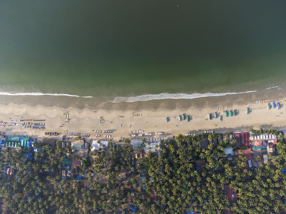 an aerial view of a beach with a lot of trees