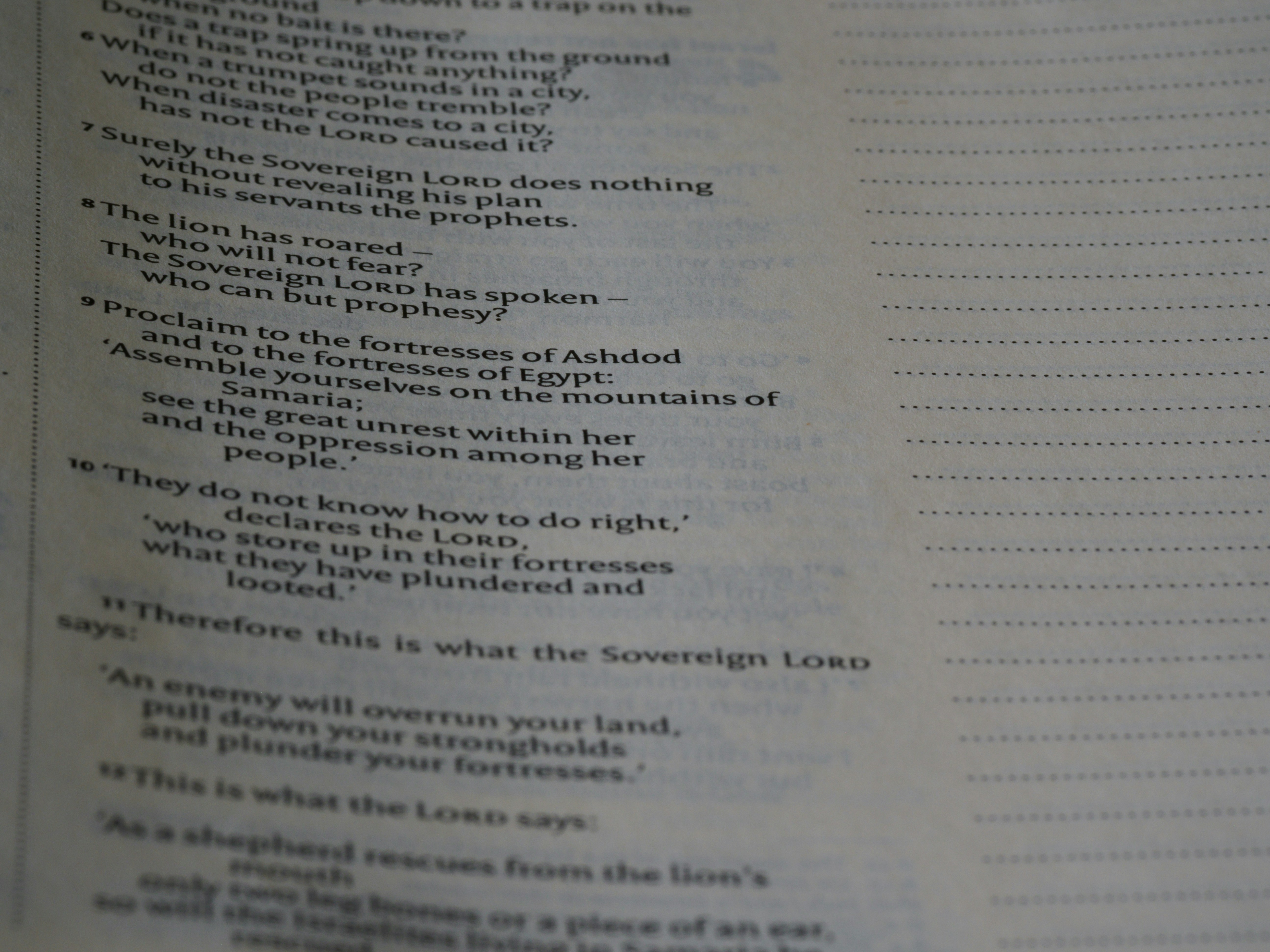 photo-1705045940204-7f8ba1f52f7a?ixid=M3wxMjA3fDB8MXxzZWFyY2h8MTl8fGRhZnRhciUyMGJ1bmNpc3RvdG98ZW58MHx8fHwxNzUxNzEwODY4fDA\u0026ixlib=rb-4.1.0