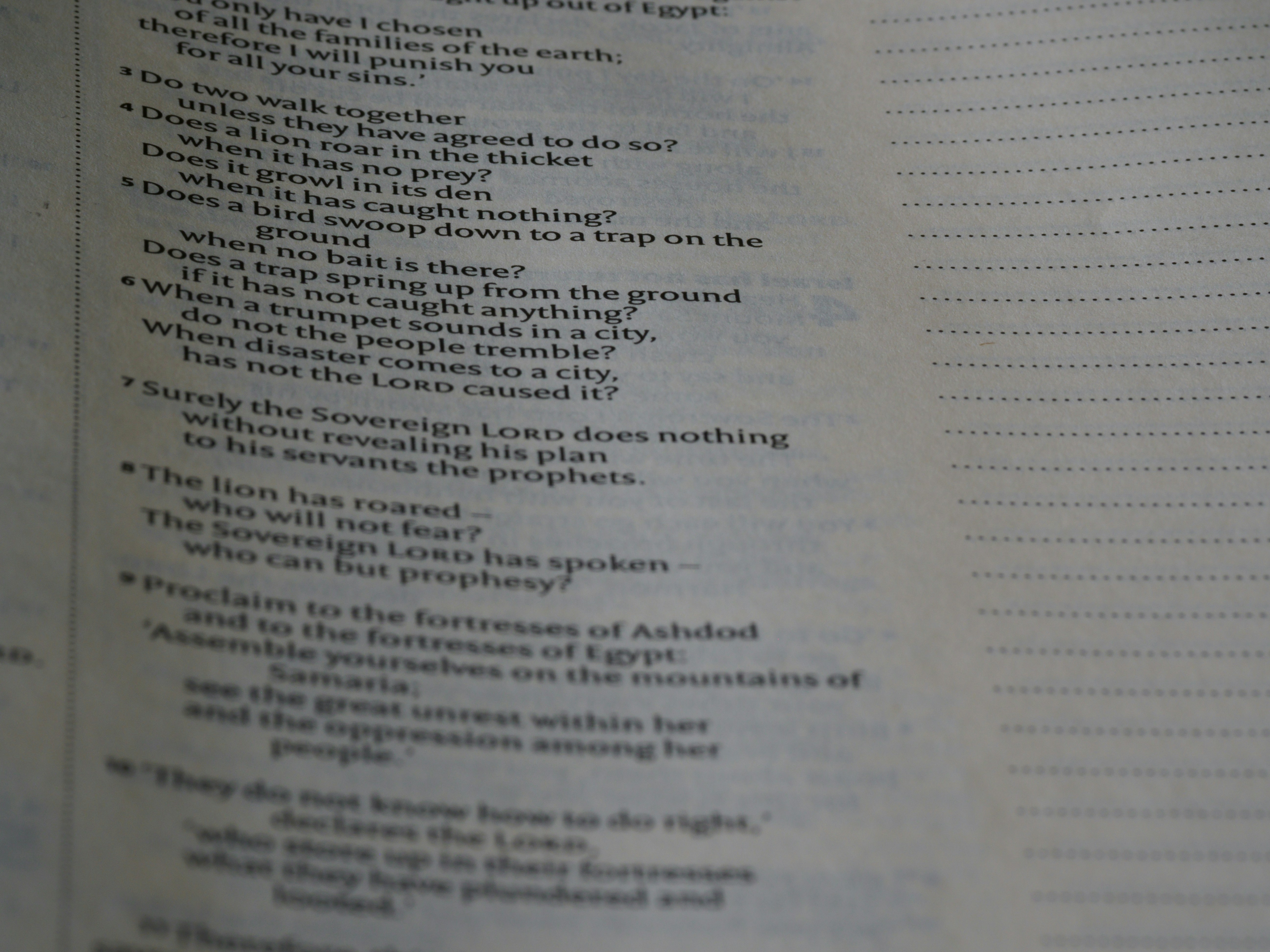 Photo by brett_jordan