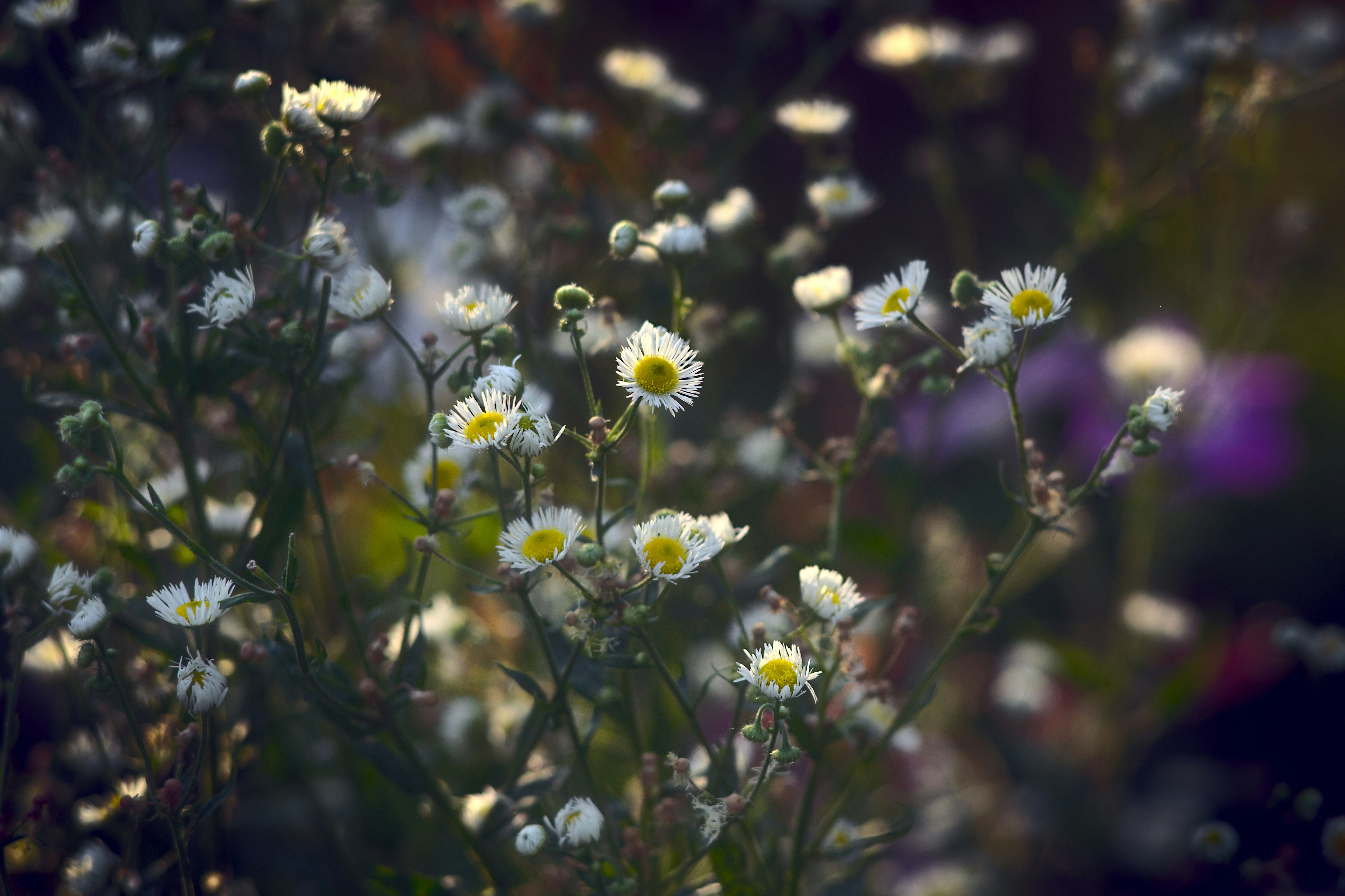 Photo by alexvagler