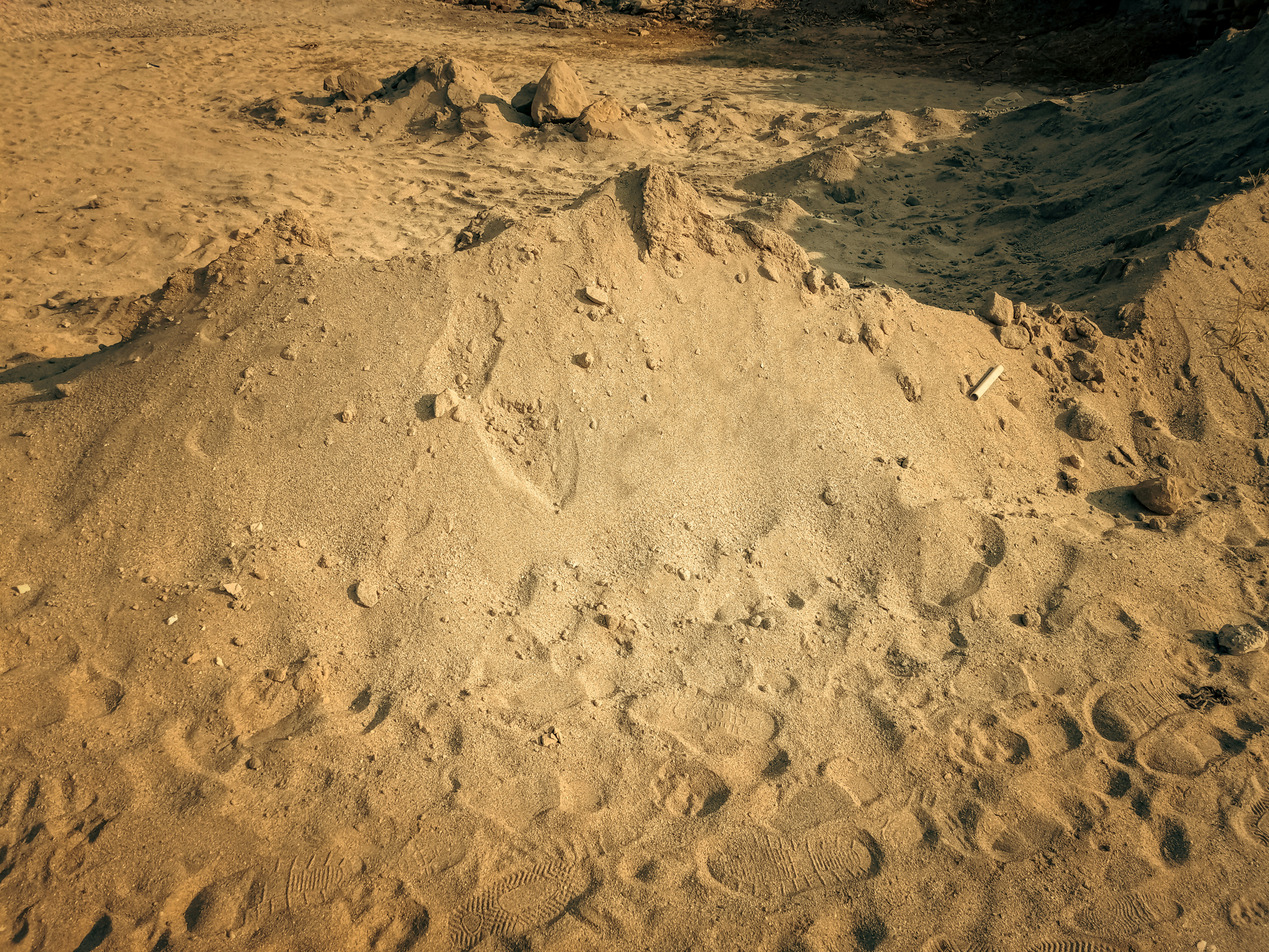 Sand Texture