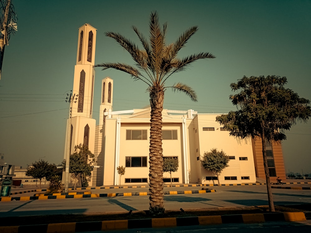 a palm tree in front of a large building