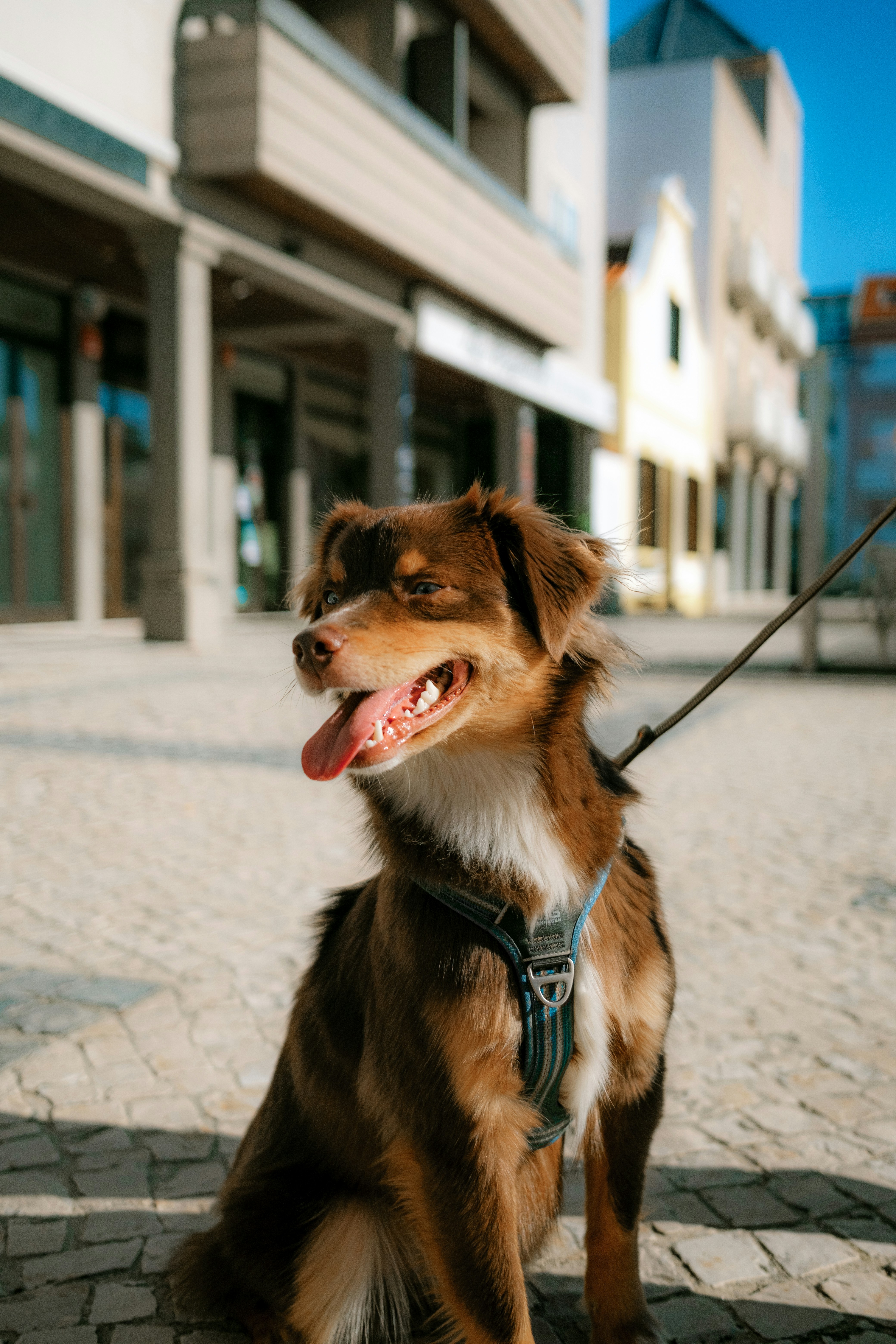 Photo by valentinlacoste