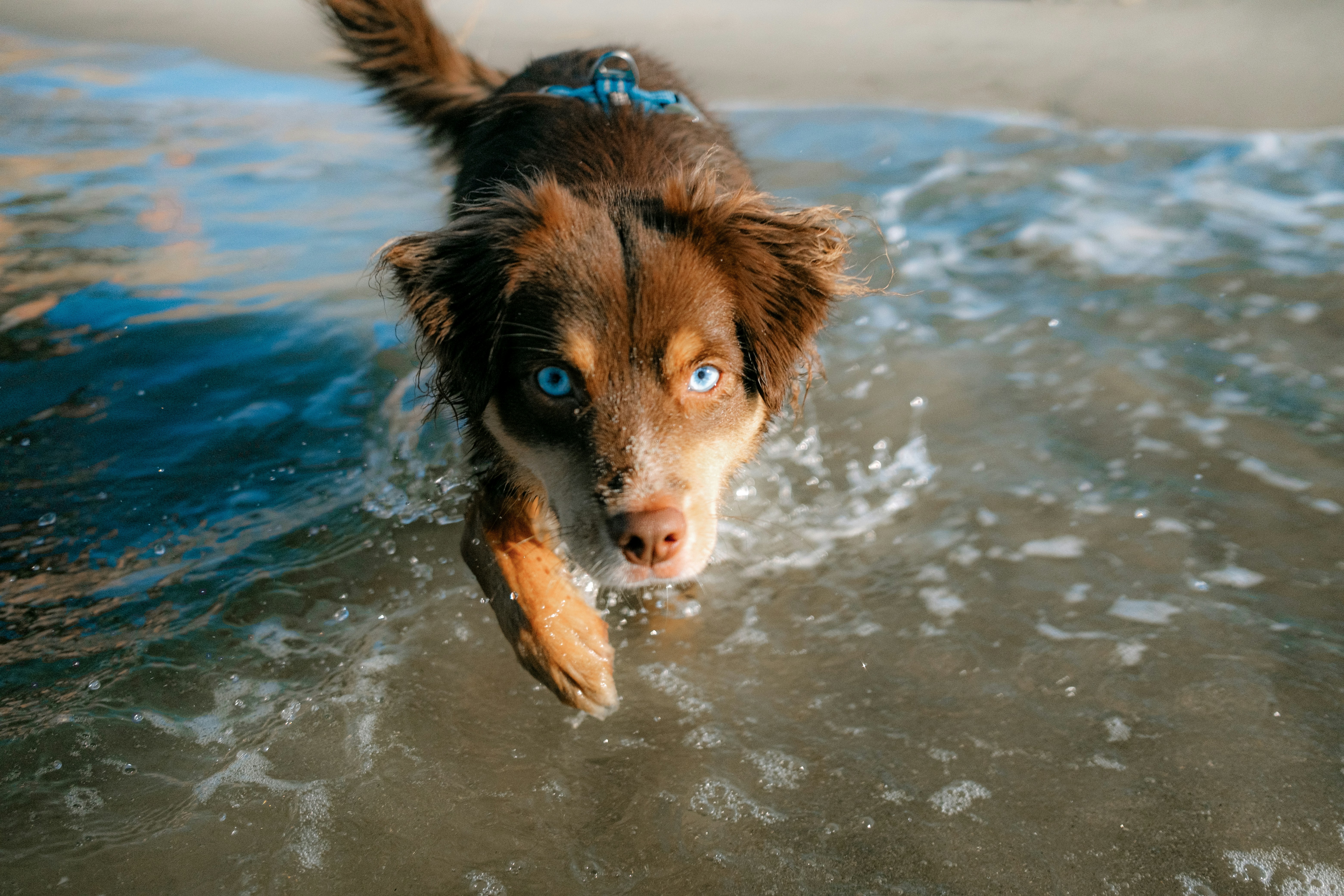 Photo by valentinlacoste