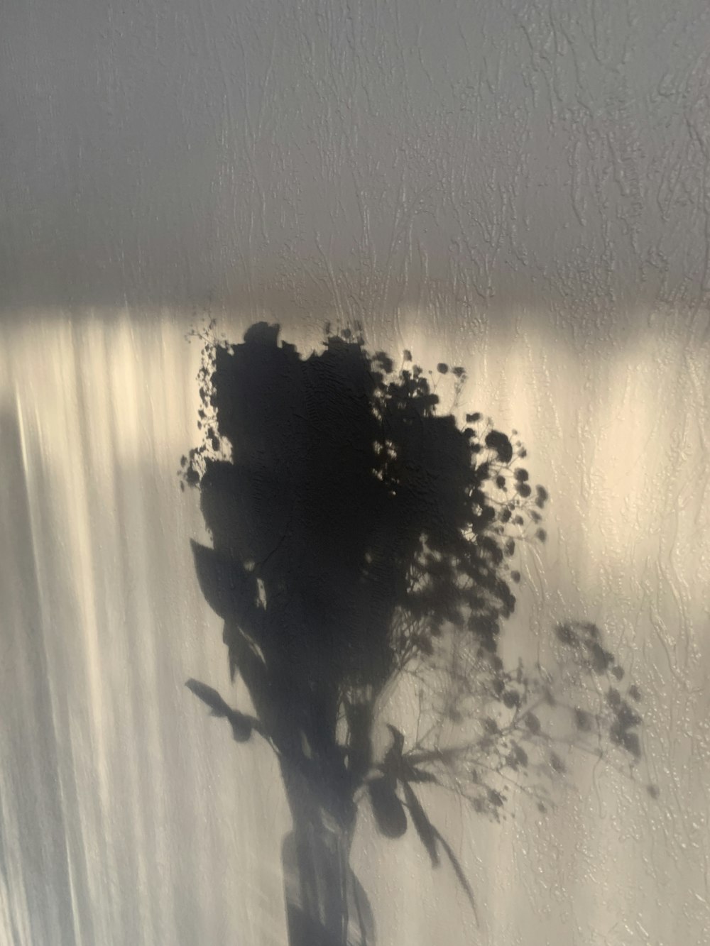 a shadow of a plant on a wall